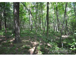 72 Rainbow Ridge Road, Unit 3 Swannanoa, NC 28778 - Photo 6 of 7 Gallery Image 6