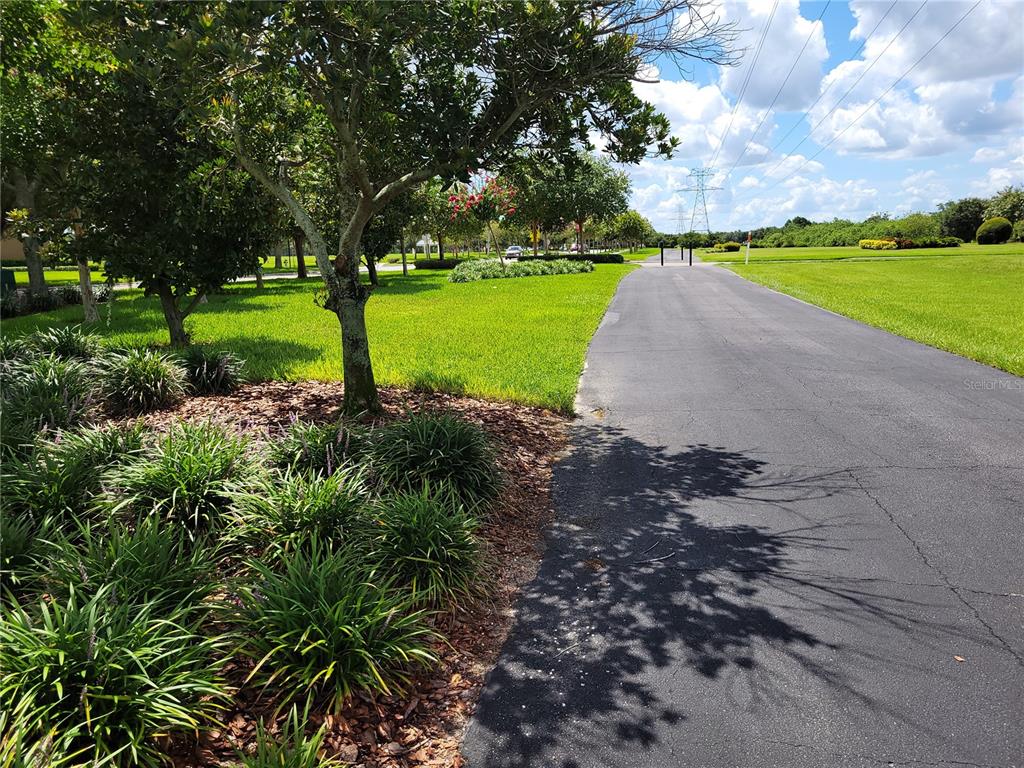 6587 Old Carriage Road Winter Garden, FL 34787 - Photo 66 of 85