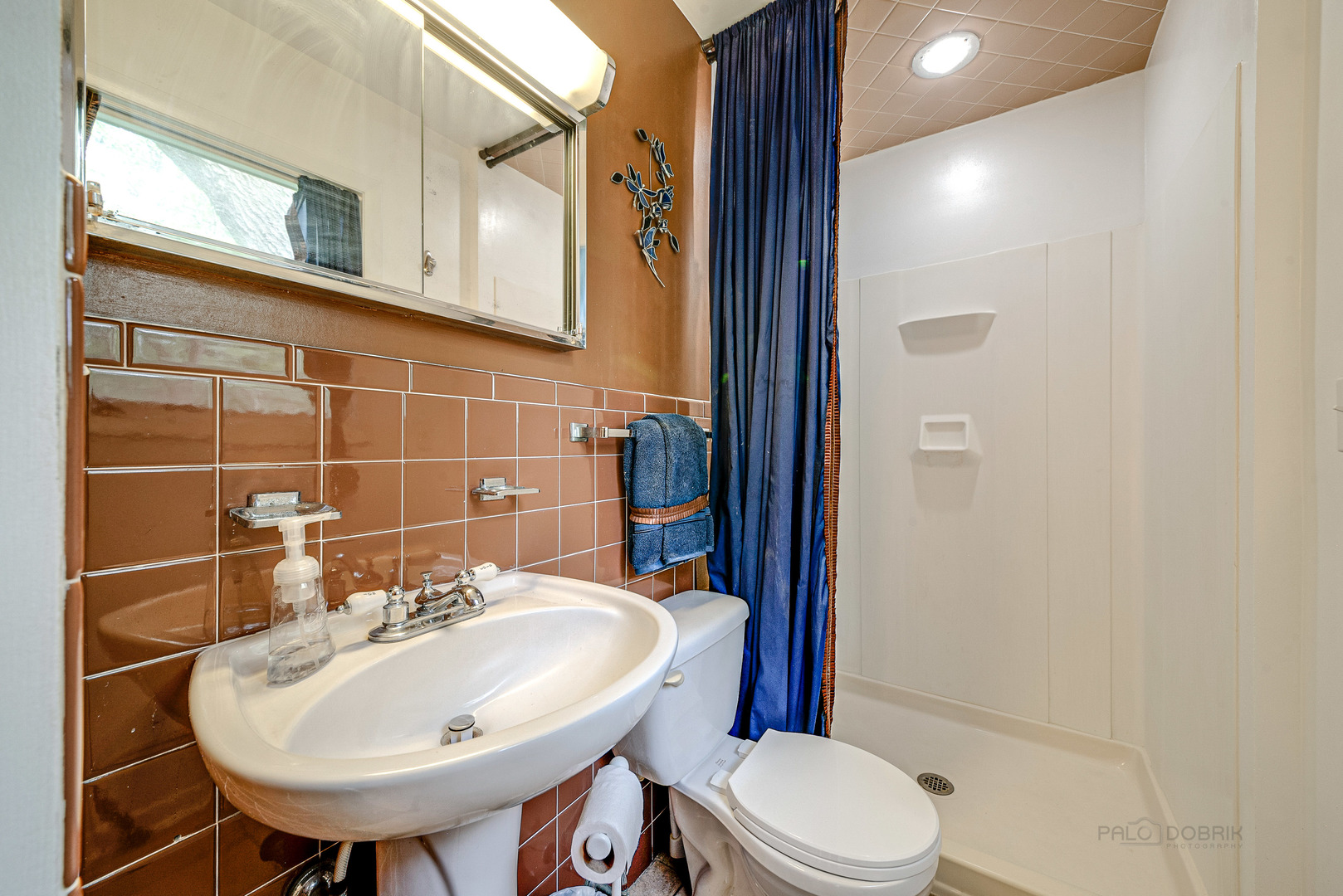 703 Hickory Road Woodstock, IL 60098 - Photo 19 of 33 a bathroom with a sink a toilet and mirror