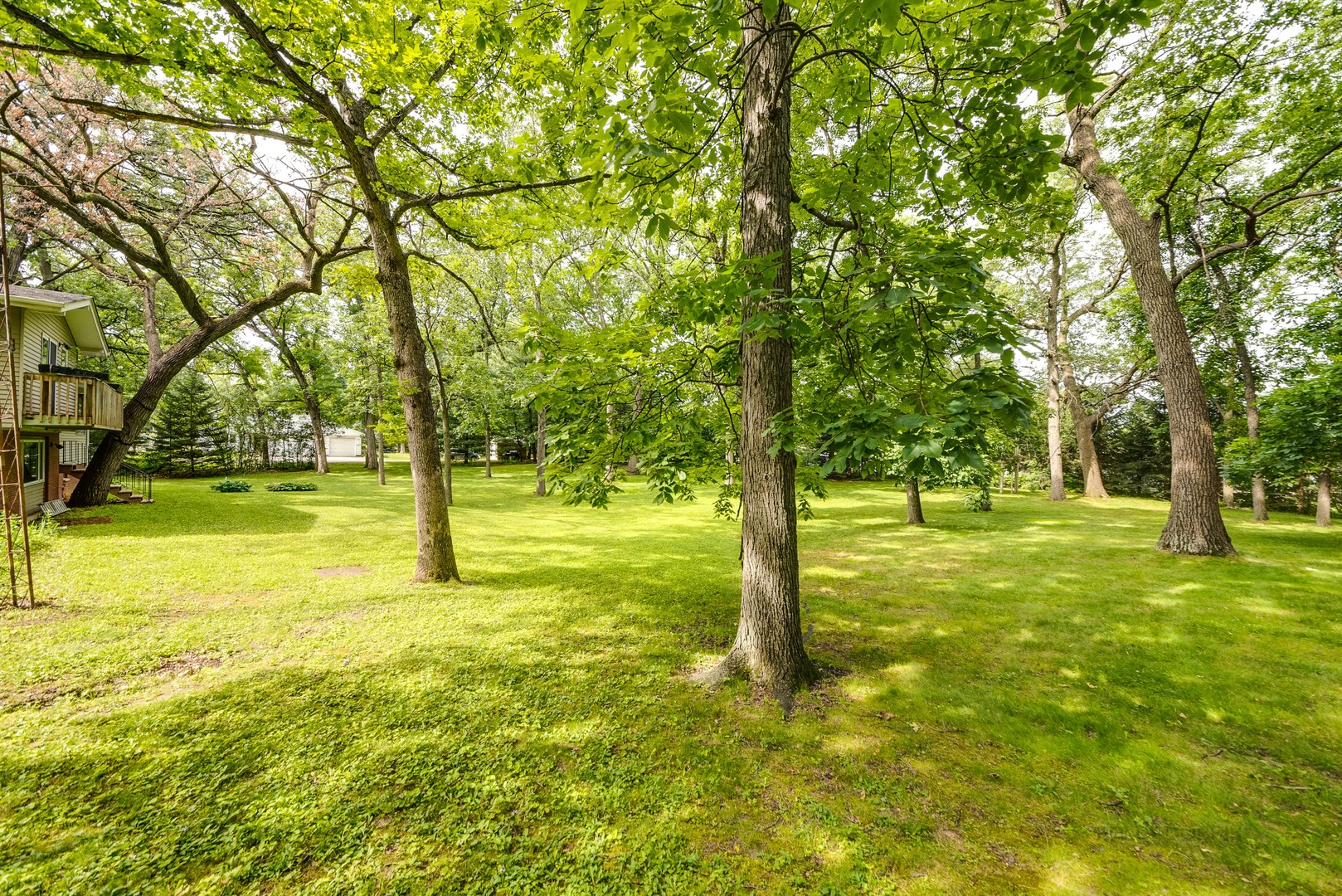703 Hickory Road Woodstock, IL 60098 - Photo 31 of 33 a view of yard with trees