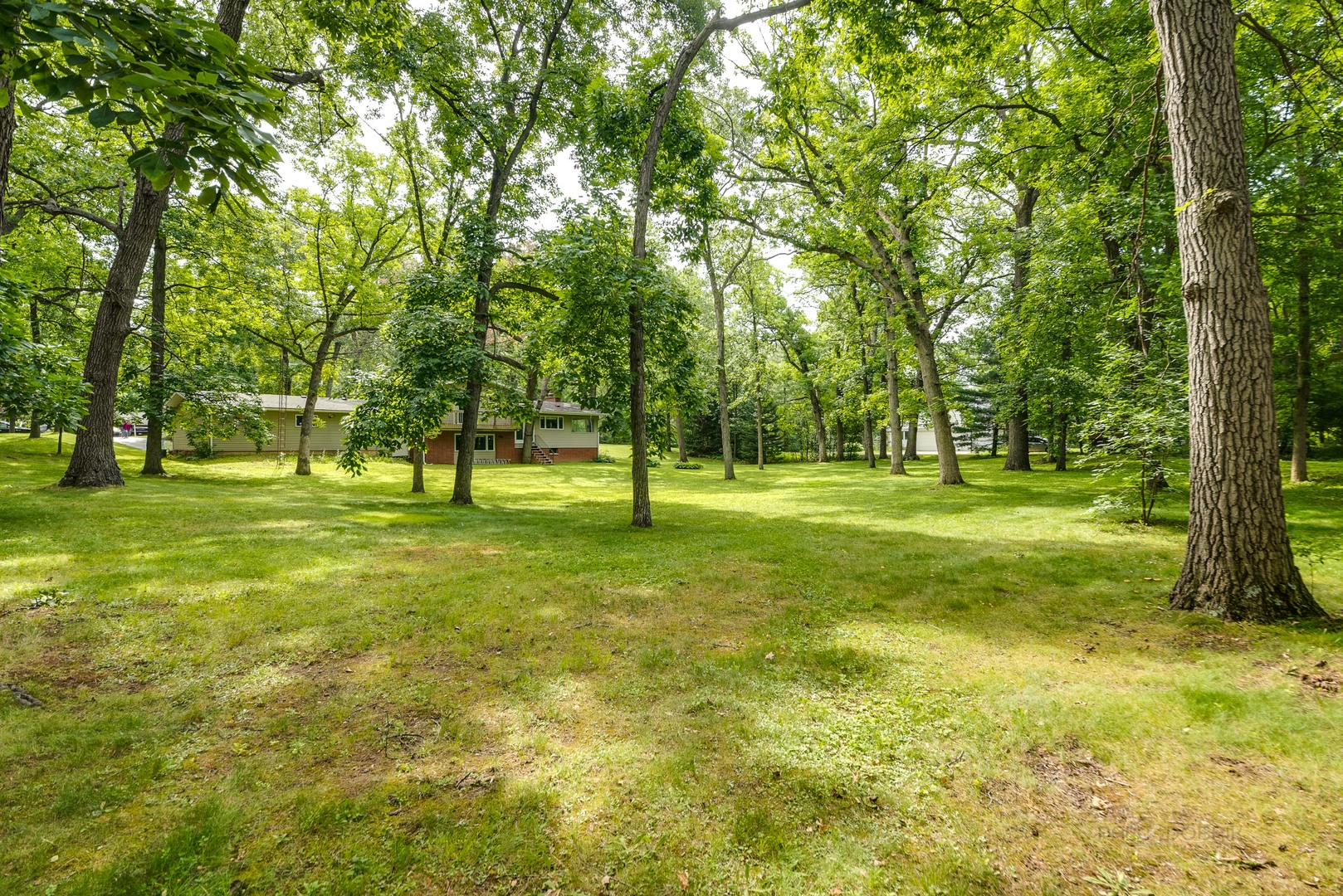 703 Hickory Road Woodstock, IL 60098 - Photo 32 of 33 a view of a trees in a park