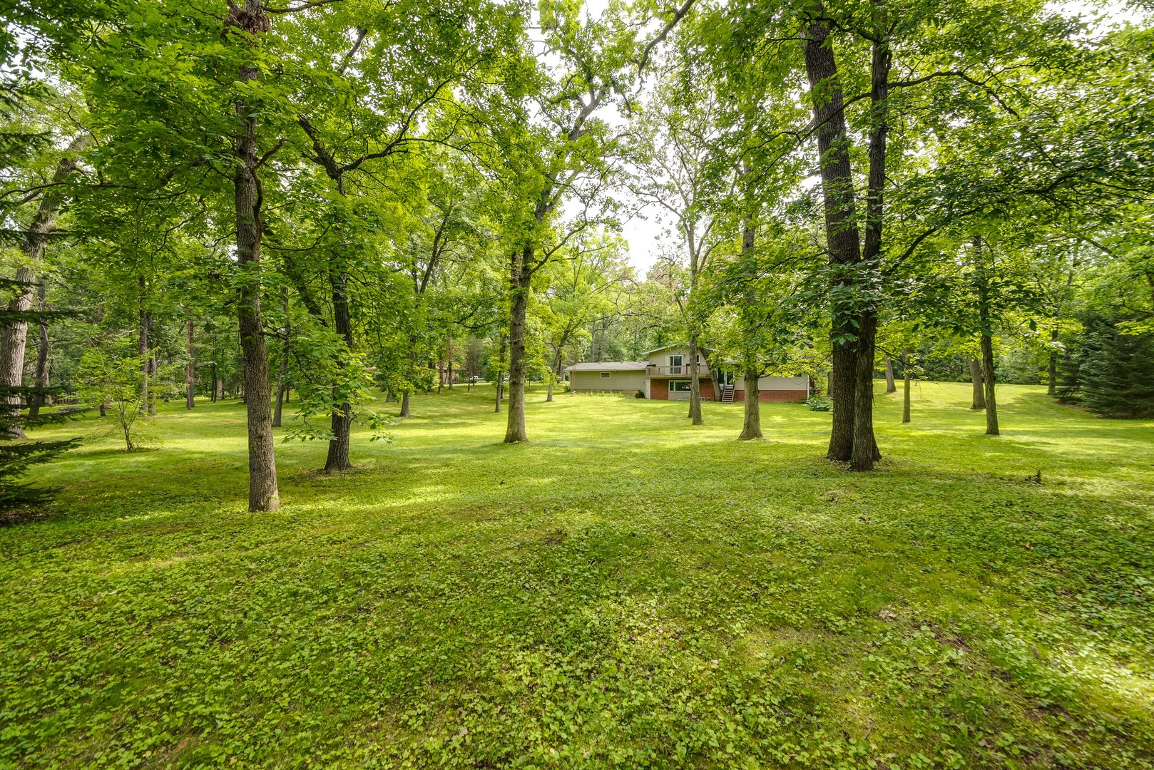703 Hickory Road Woodstock, IL 60098 - Photo 33 of 33 a view of yard with trees