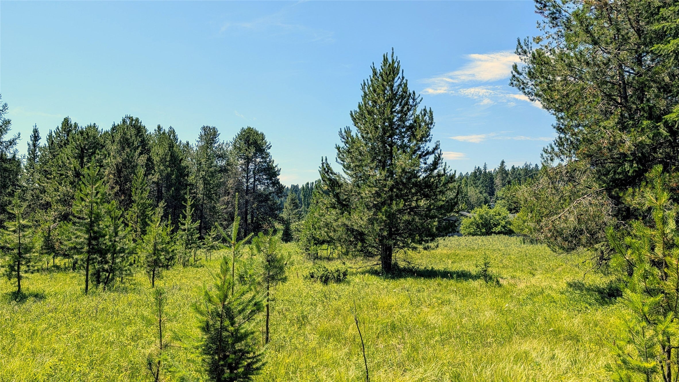80 Wagon Wheel Road Whitefish, MT 59937 - Photo 15 of 33 Gallery Image 15