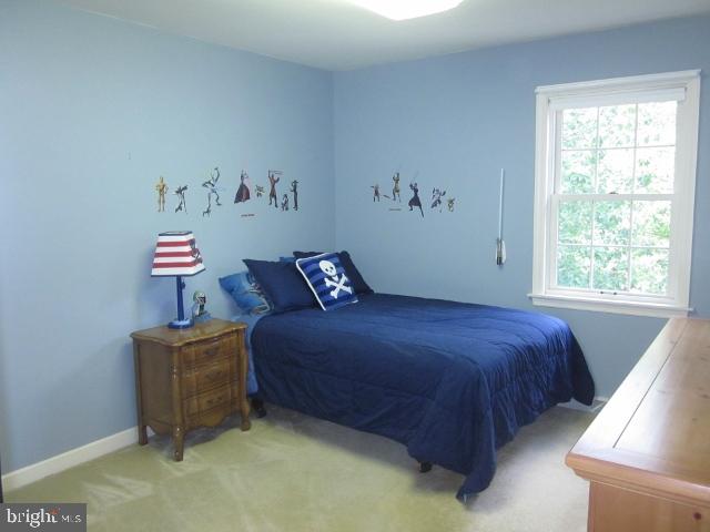 248 Buckfield Drive Lititz, PA 17543 - Photo 17 of 25 Gallery Image 17