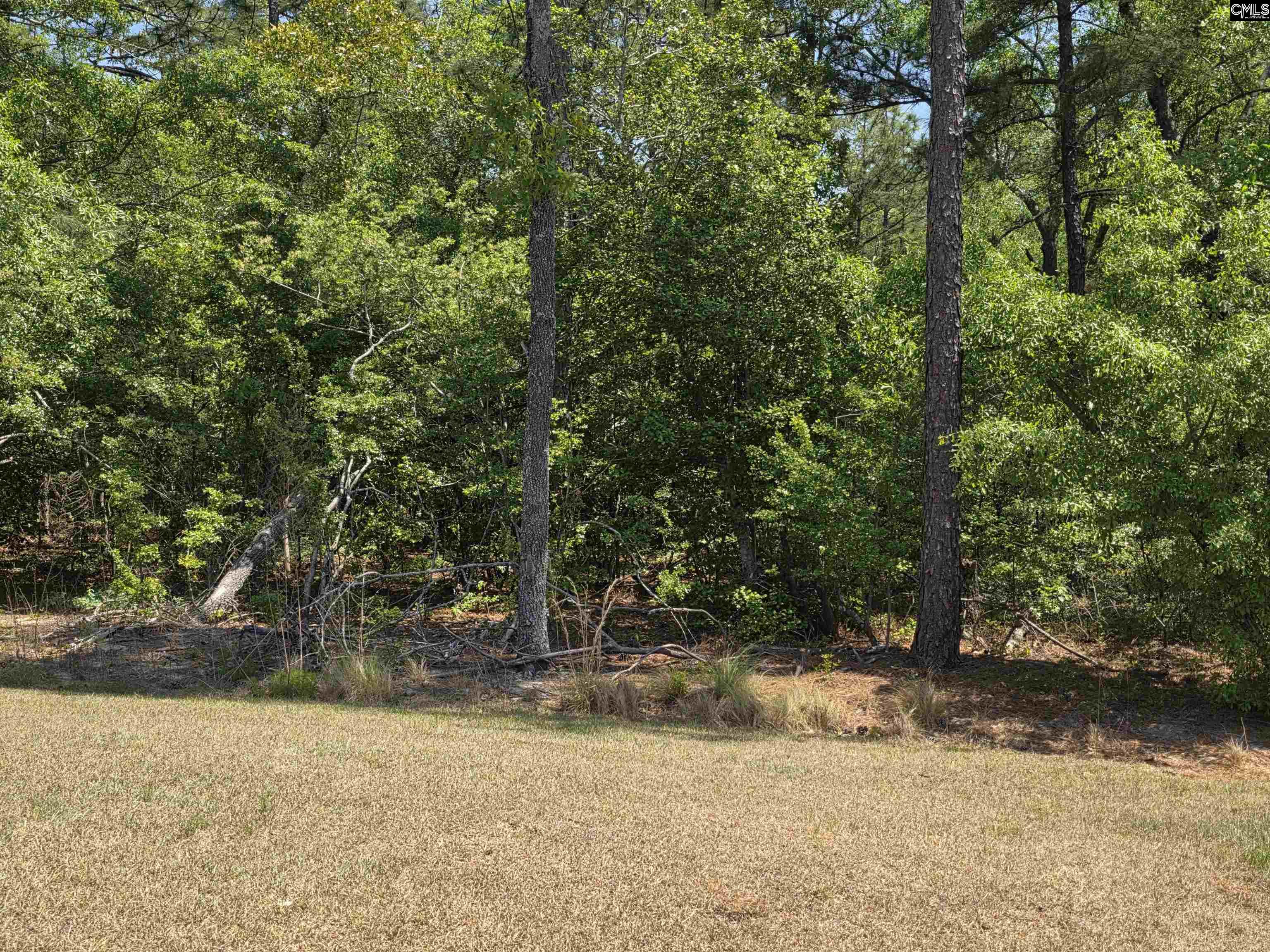 312 Reedmace Court Lexington, SC 29072 - Photo 15 of 15