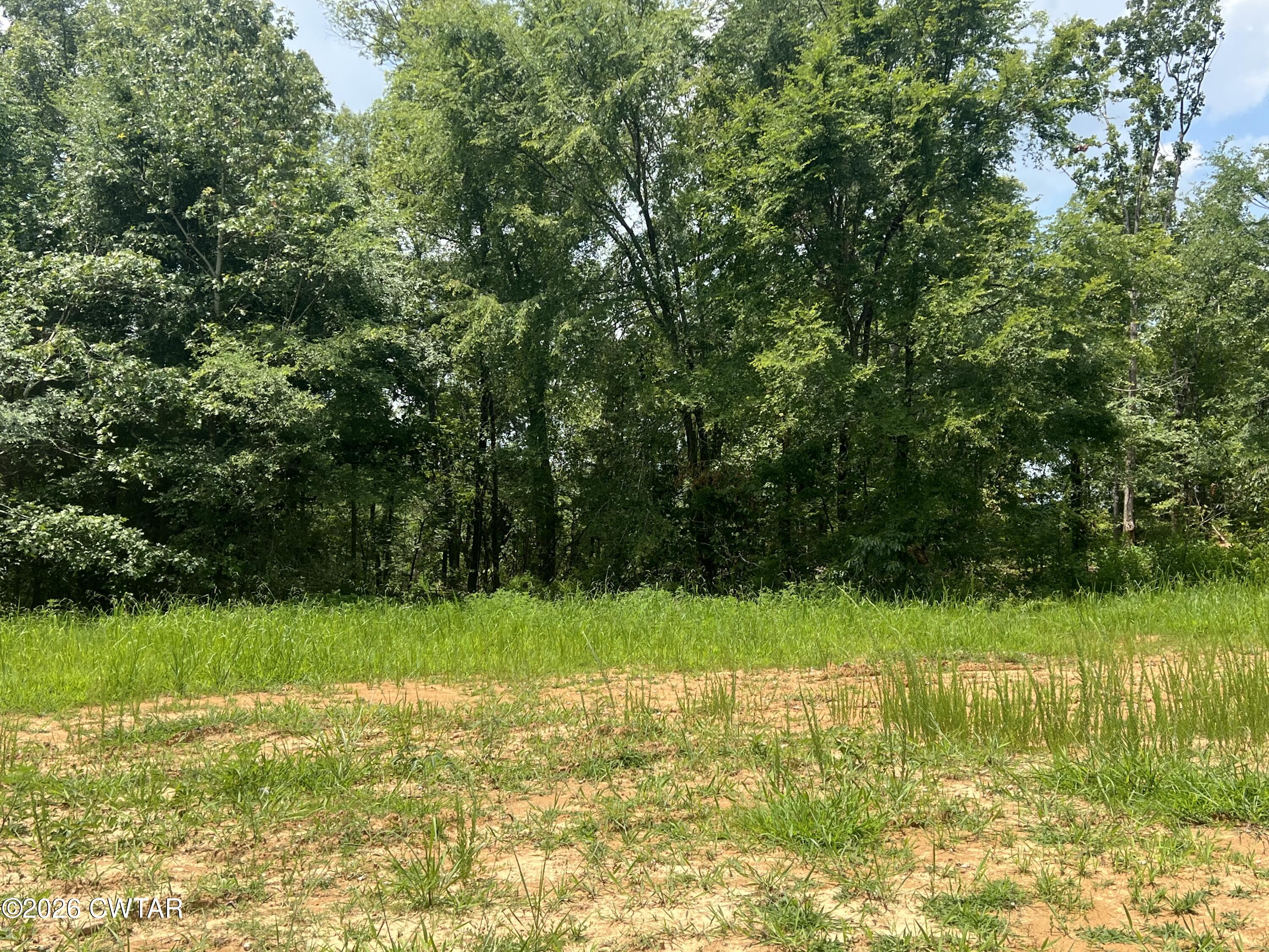 4600 Silerton Road Henderson, TN 38340 - Photo 7 of 16 IMG_6464