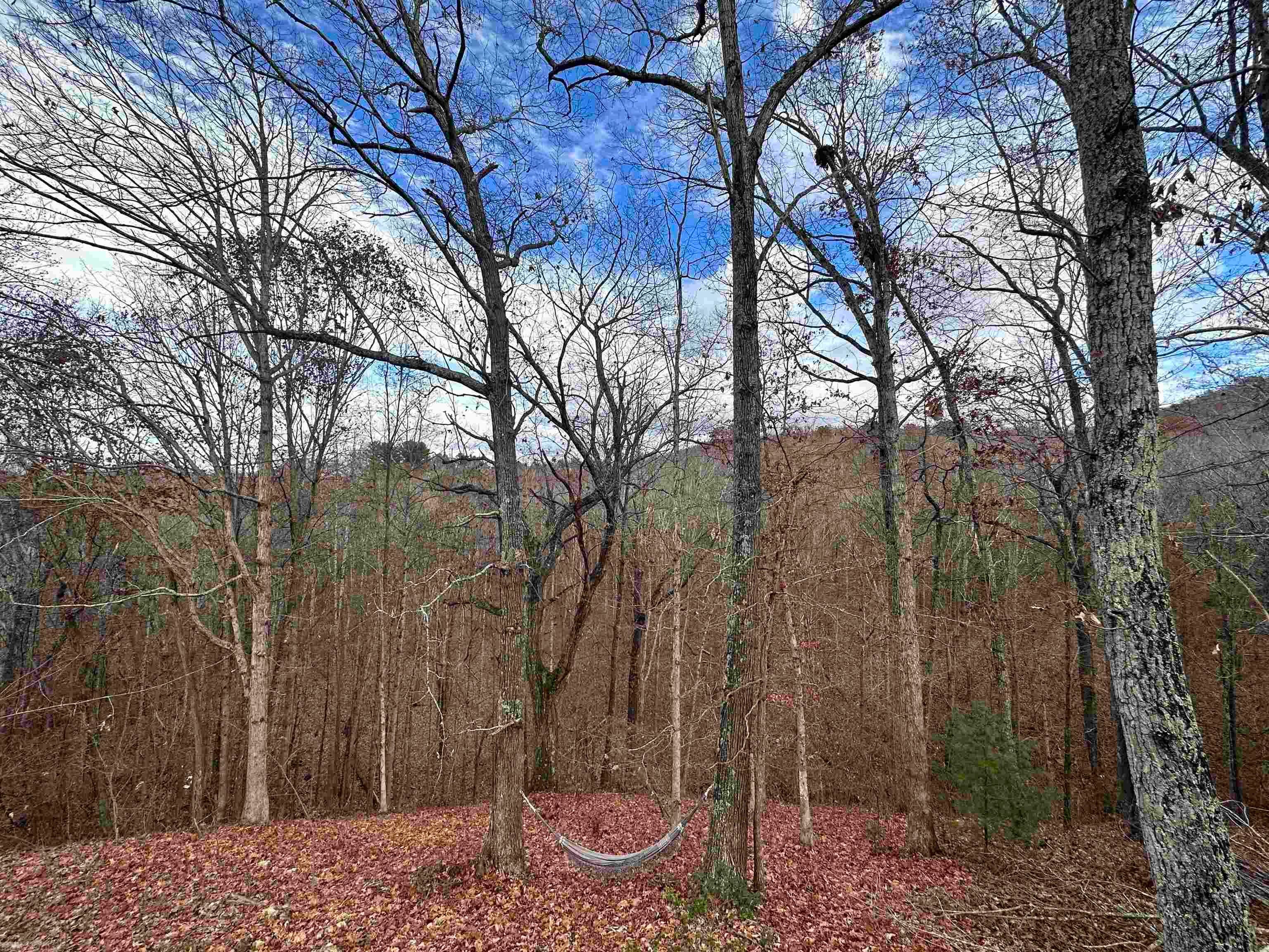 3745 Case Knife Road Pulaski, VA 24301 - Photo 4 of 10 Gallery Image 4