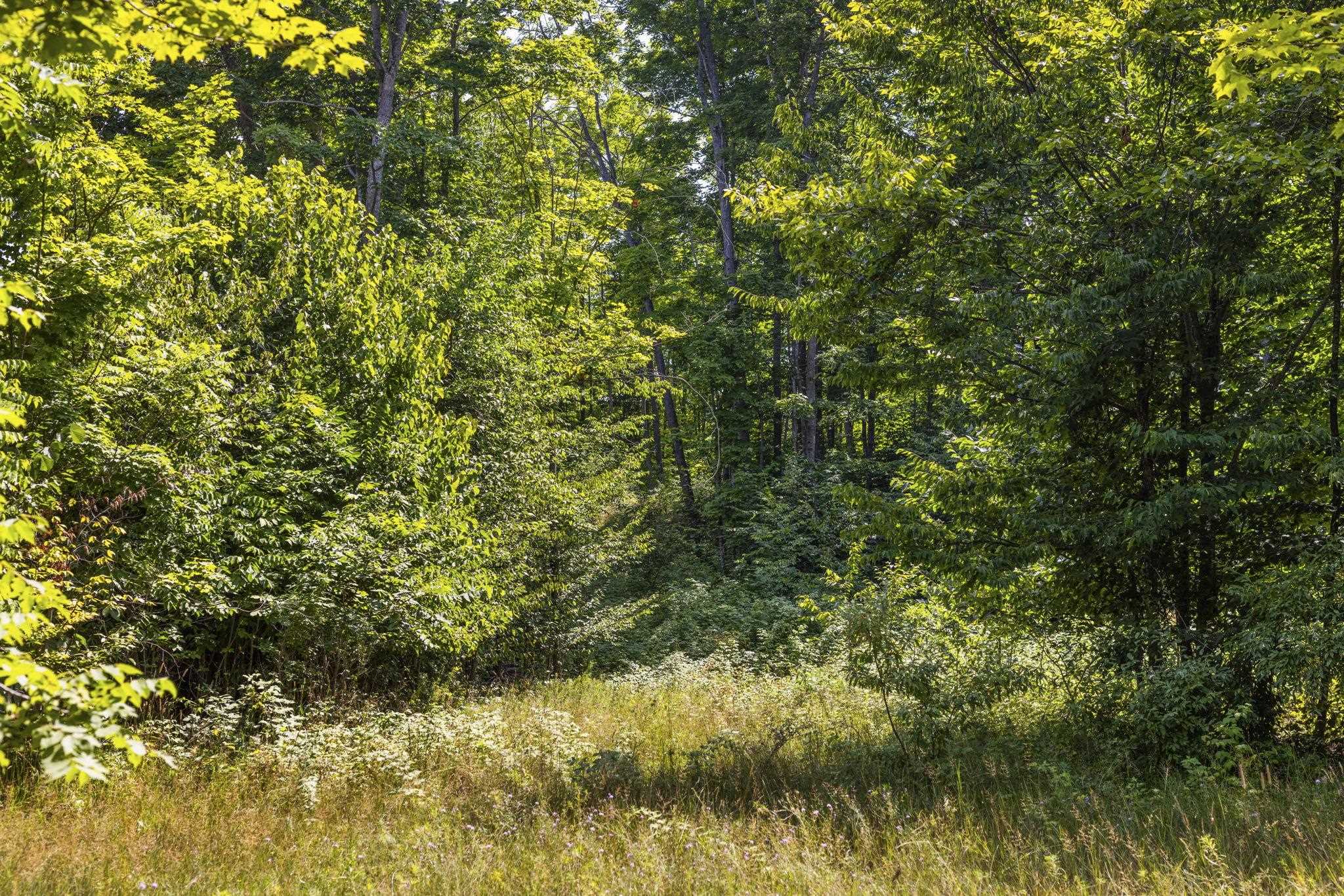 South Hill Road Cedar, MI 49621 - Photo 7 of 15