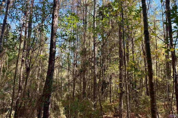 $294,900 | 2 Hwy 1046 Amite La, Amite, LA 70422