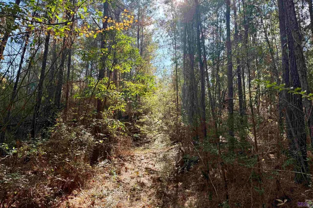 $294,900 | 2 Hwy 1046 Amite La, Amite, LA 70422