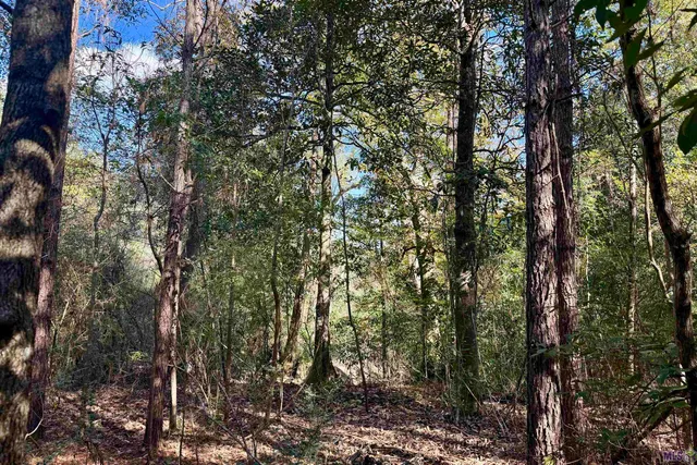 $294,900 | 2 Hwy 1046 Amite La, Amite, LA 70422