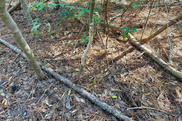 $294,900 | 2 Hwy 1046 Amite La, Amite, LA 70422