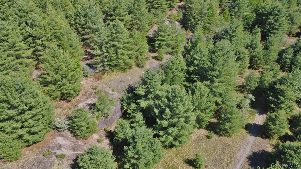 Marsh Road Fallsburg, NY 12733 - Photo 16 of 20