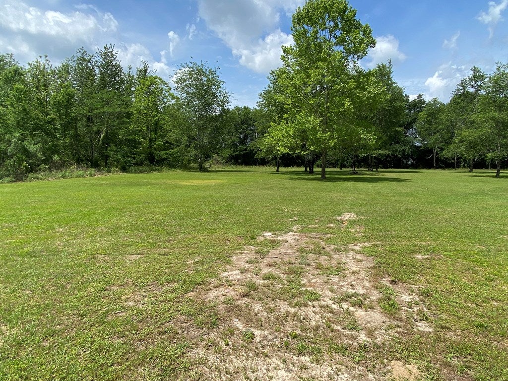 4852 Johnson Road South Valdosta, GA 31601 - Photo 17 of 17 Gallery Image 17