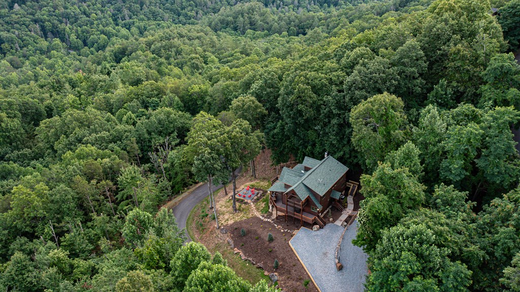175 Cochise Road Cherry Log, GA 30522 - Photo 59 of 89