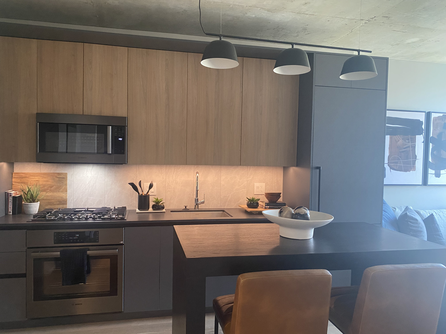 234 West Polk Street, Unit 3106 Chicago, IL 60607 - Photo 6 of 6