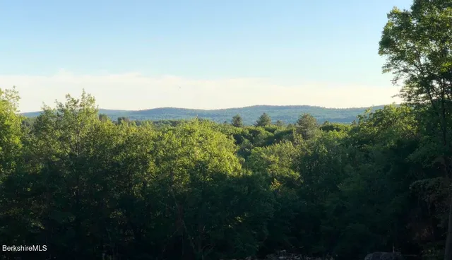 a view of a mountain in the distance in a field