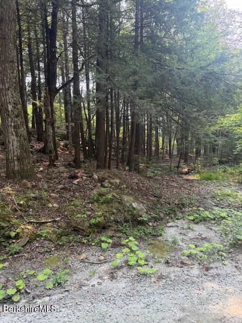 58 Stanley Road Otis, MA 01253 - Photo 2 of 10 a backyard of a house with lots of green space