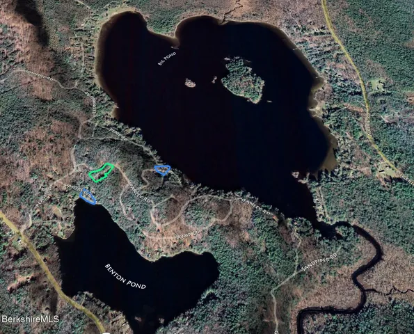 a view of a plant in a garden