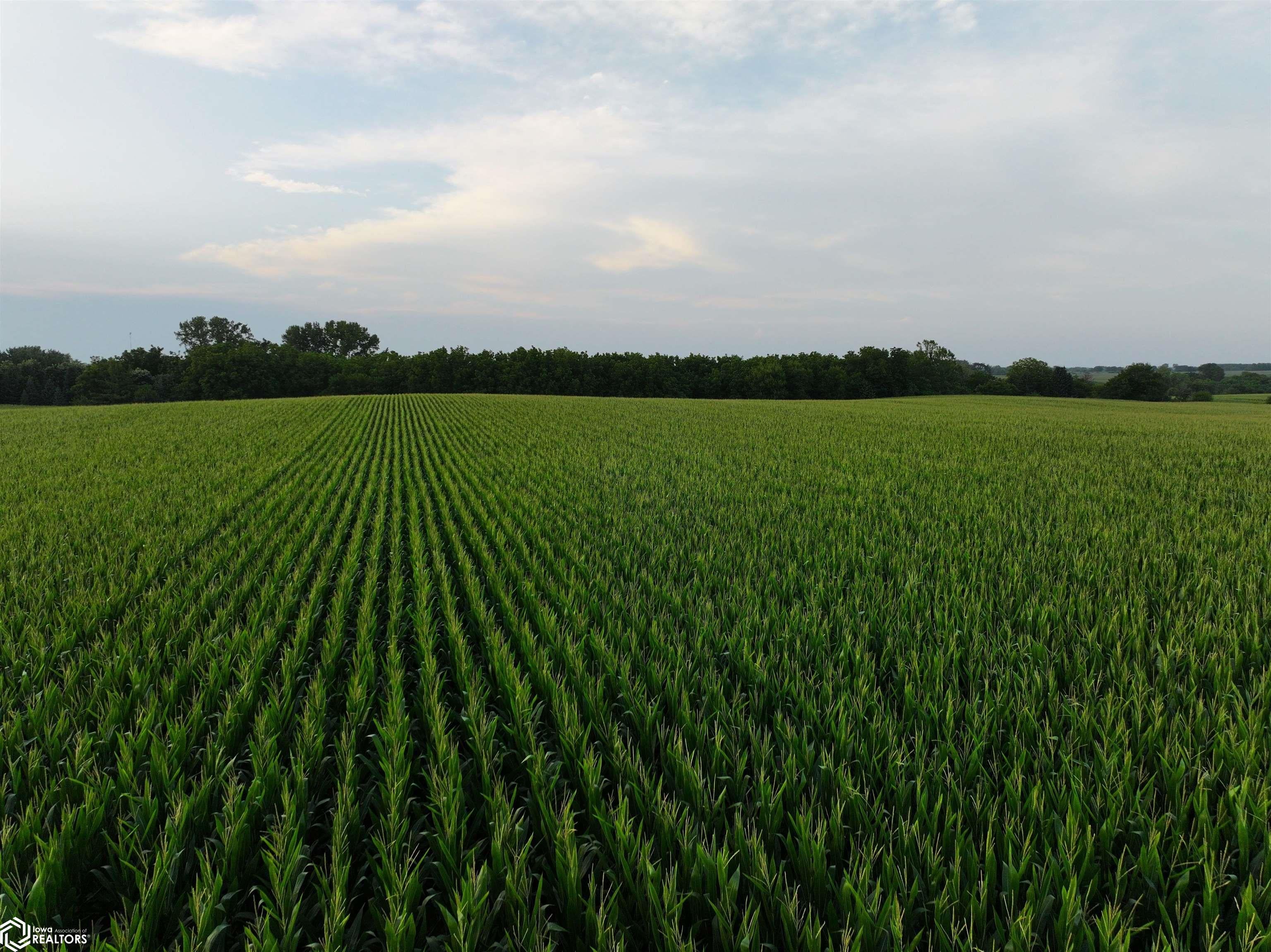 Meadow Road Adel, IA 50003 - Photo 9 of 12 Gallery Image 9