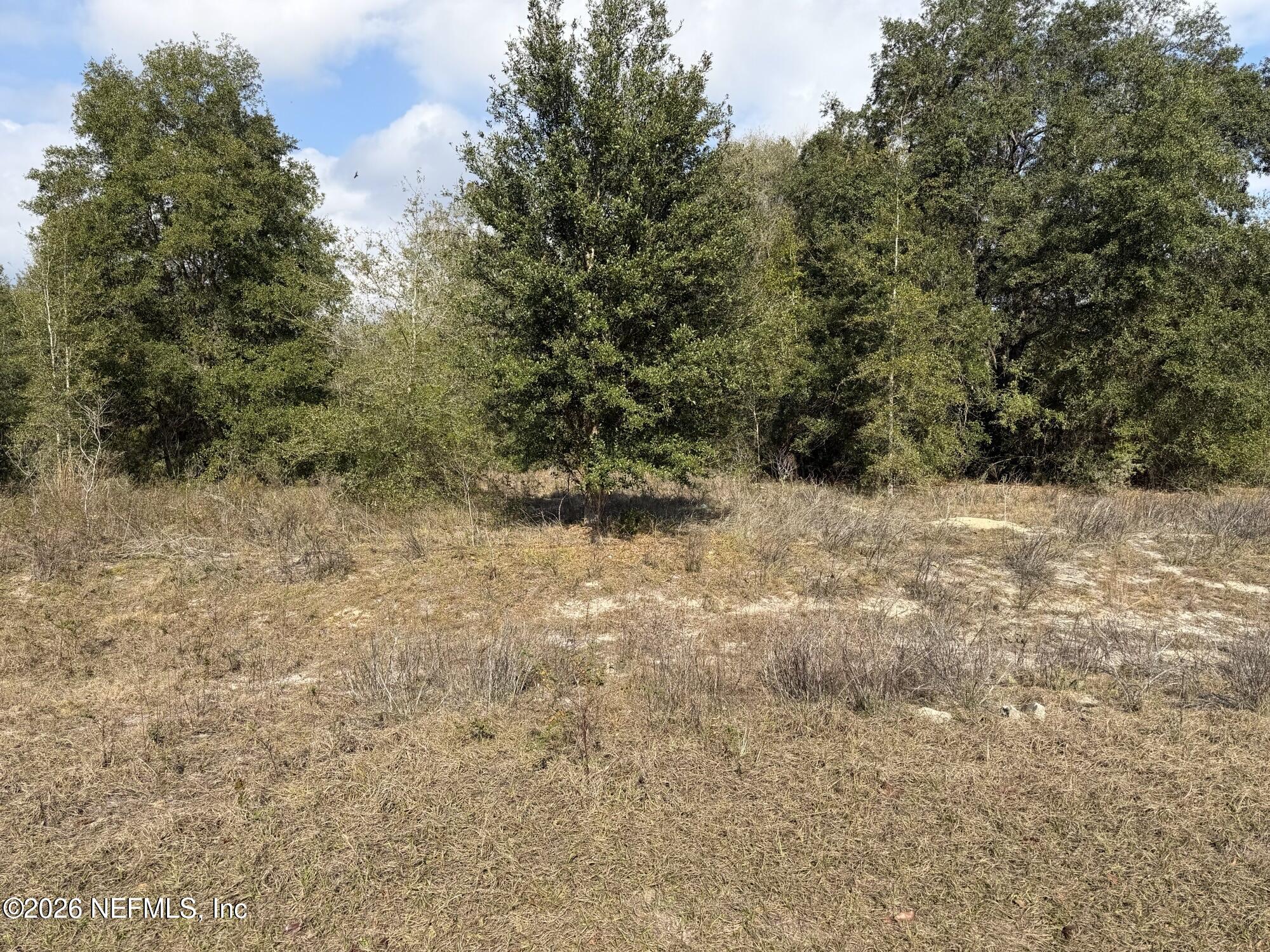 L5-blk28 Yellowstone Street Keystone Heights, FL 32656 - Photo 2 of 3 a view of a dry yard