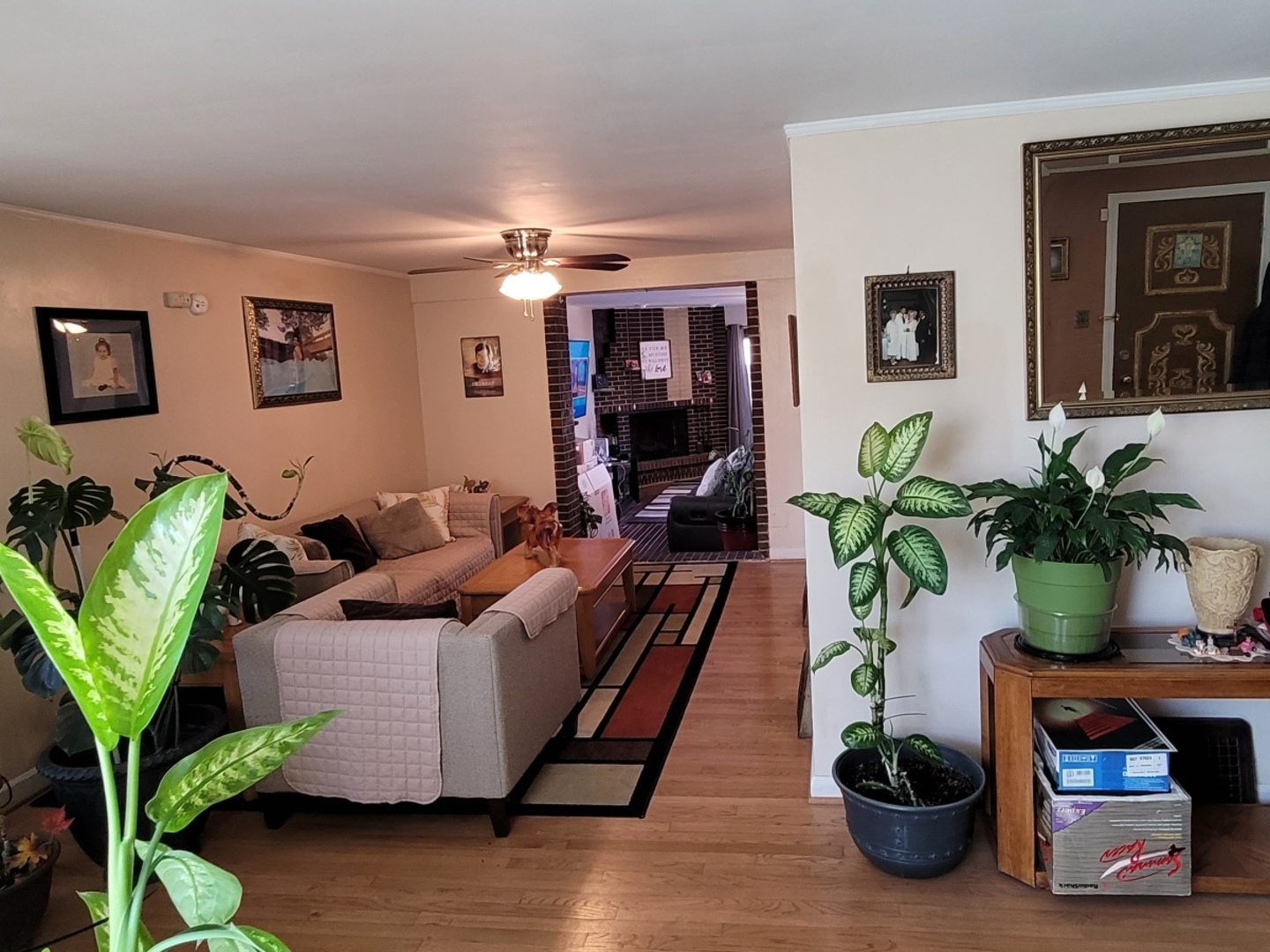 7432 West Gregory Street Chicago, IL 60656 - Photo 5 of 42 a living room with furniture and a potted plant