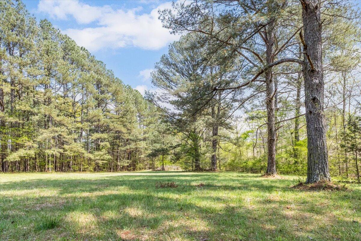 2079 No Pone Road Northwest Georgetown, TN 37336 - Photo 125 of 141 10-IMG_9252