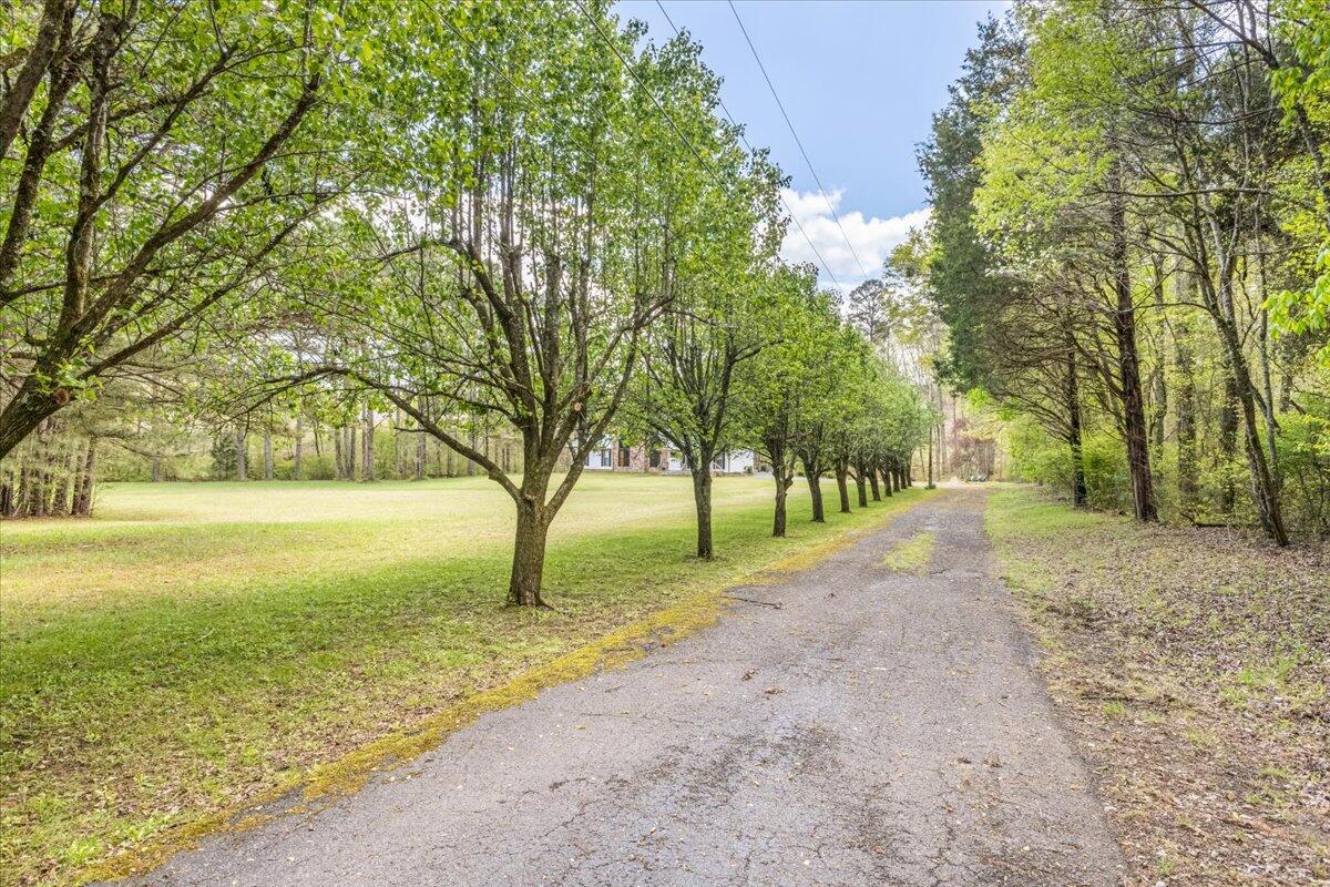 2079 No Pone Road Northwest Georgetown, TN 37336 - Photo 141 of 141 26-IMG_9373