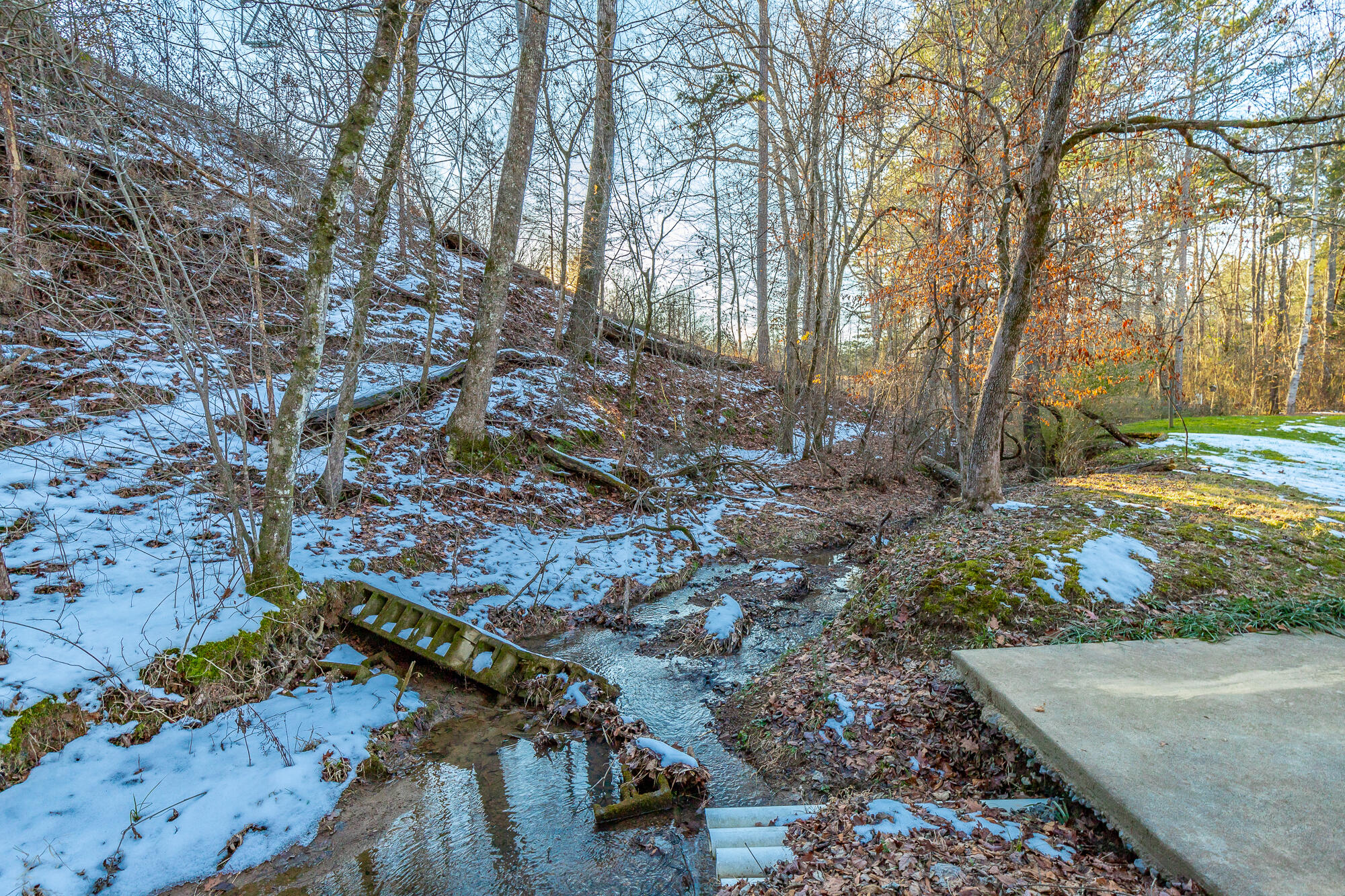 2079 No Pone Road Northwest Georgetown, TN 37336 - Photo 92 of 141 2079 No Pone Road NW HD-72