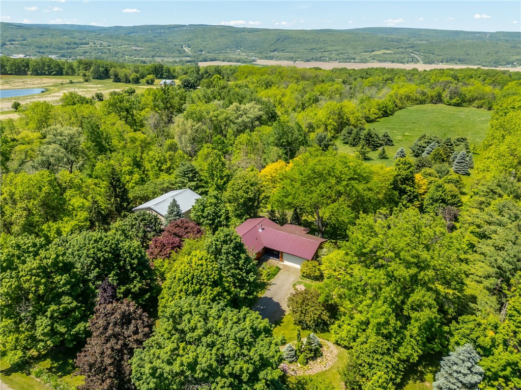 5947 Harter Road Dansville, NY 14437 - Photo 47 of 50