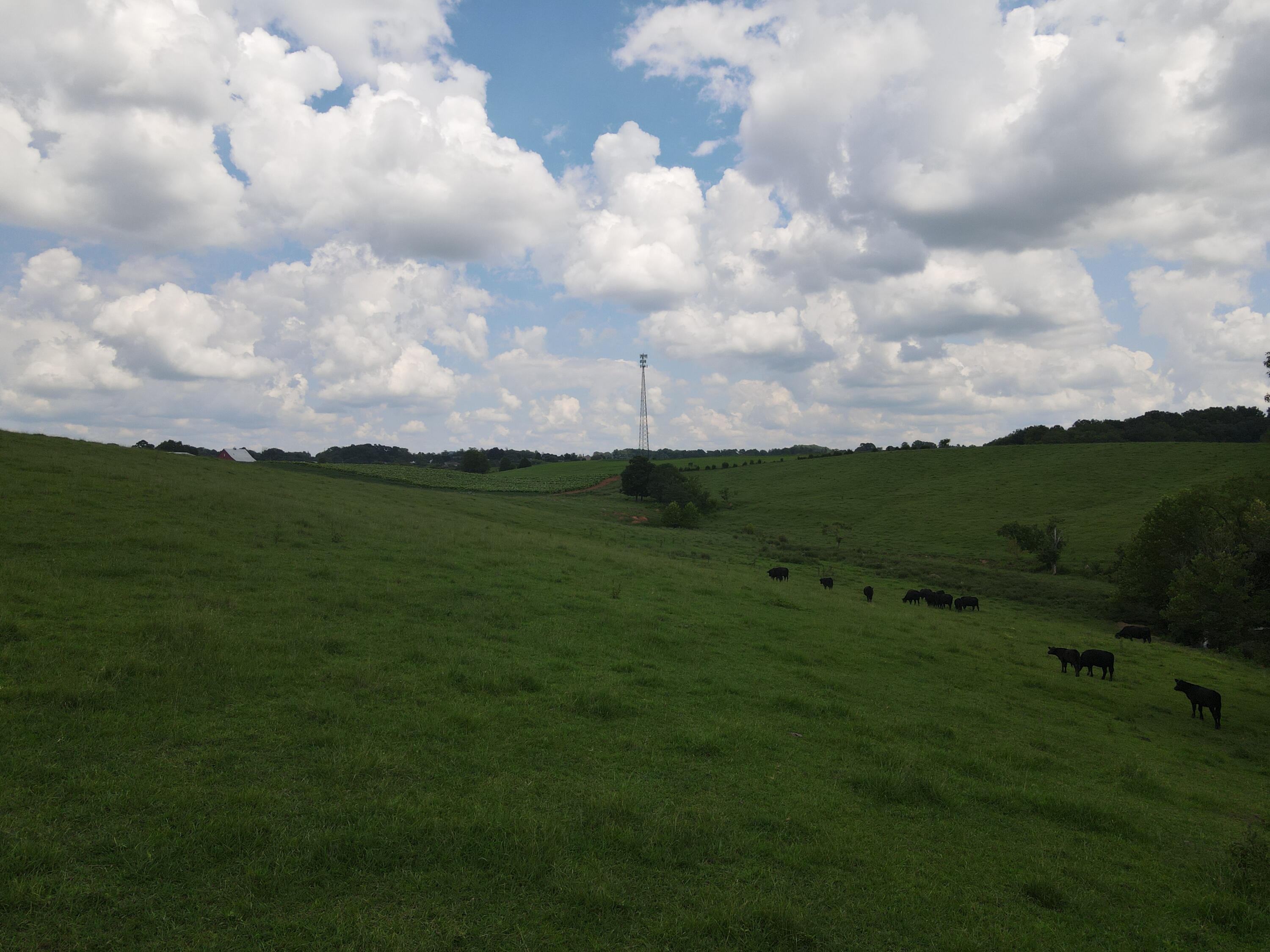 Tbd Browns Bridge Road, Unit 21 Greeneville, TN 37745 - Photo 2 of 3 DJI_0467