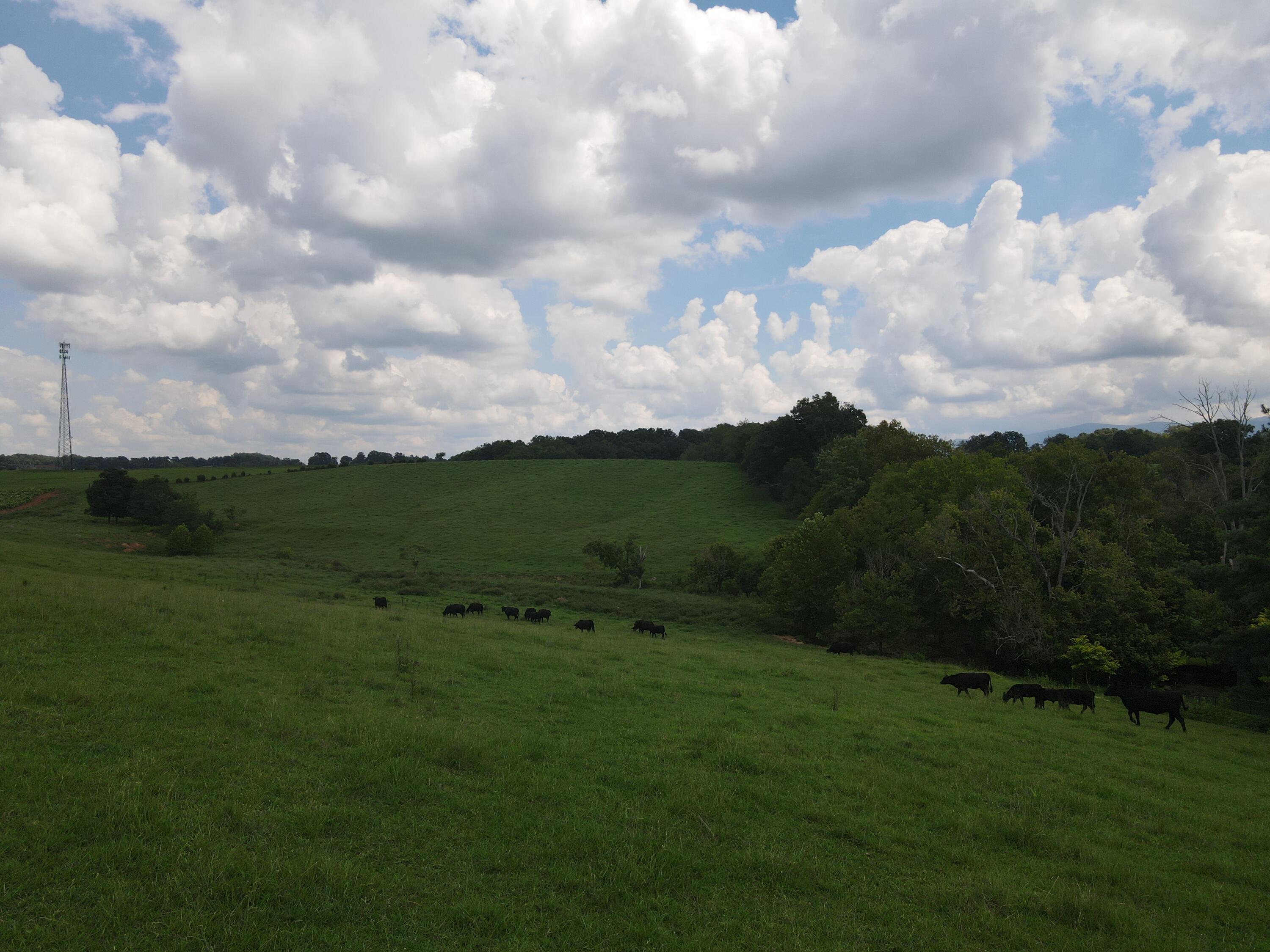 Tbd Browns Bridge Road, Unit 21 Greeneville, TN 37745 - Photo 3 of 3 DJI_0469