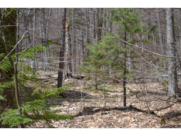 636 Howard Hill Road Andover, VT 05143 - Photo 20 of 26 Gallery Image 20