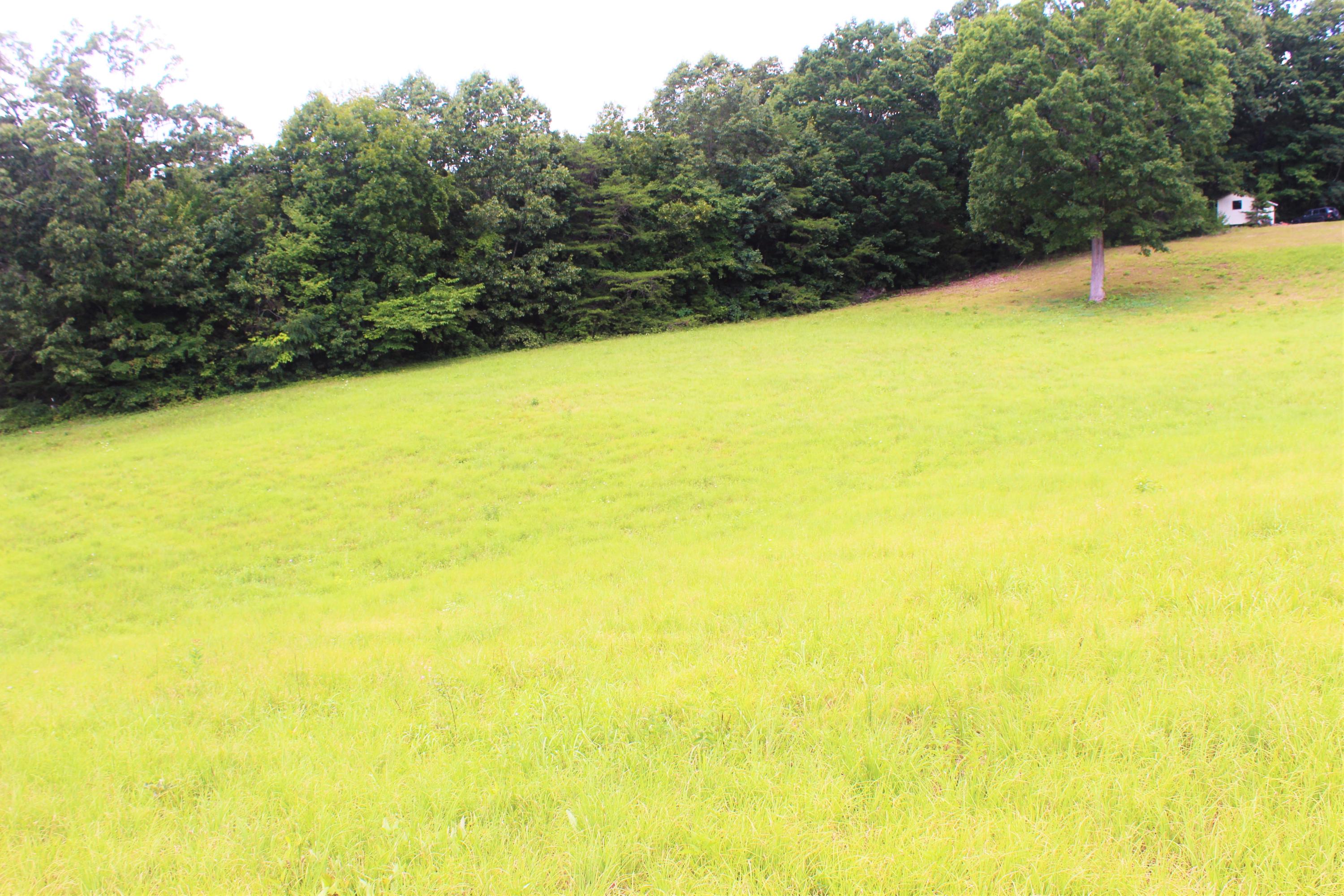 715 Hubbs Grove Road Maynardville, TN 37807 - Photo 2 of 40 IMG_4478