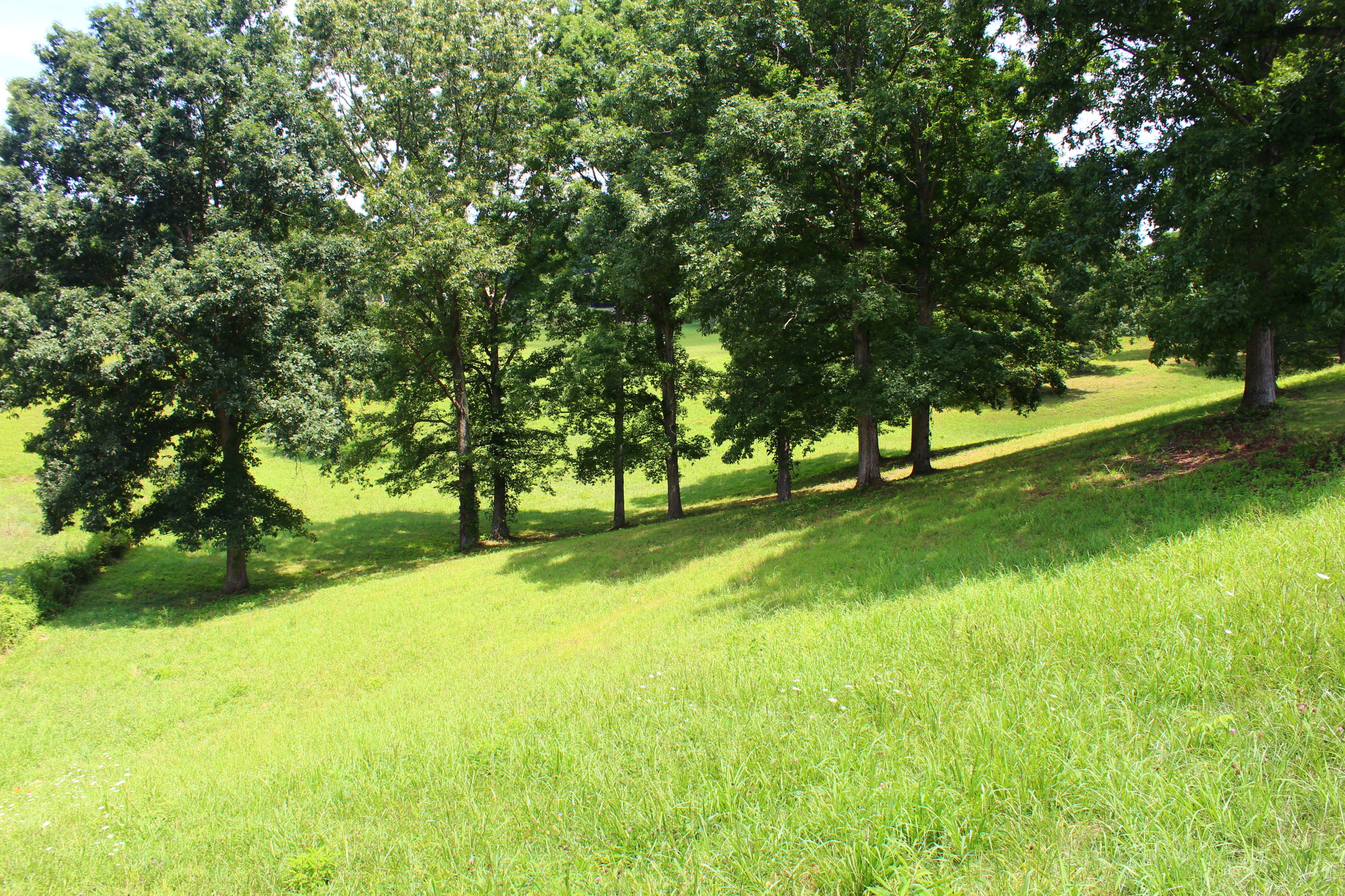 715 Hubbs Grove Road Maynardville, TN 37807 - Photo 27 of 40 IMG_4454