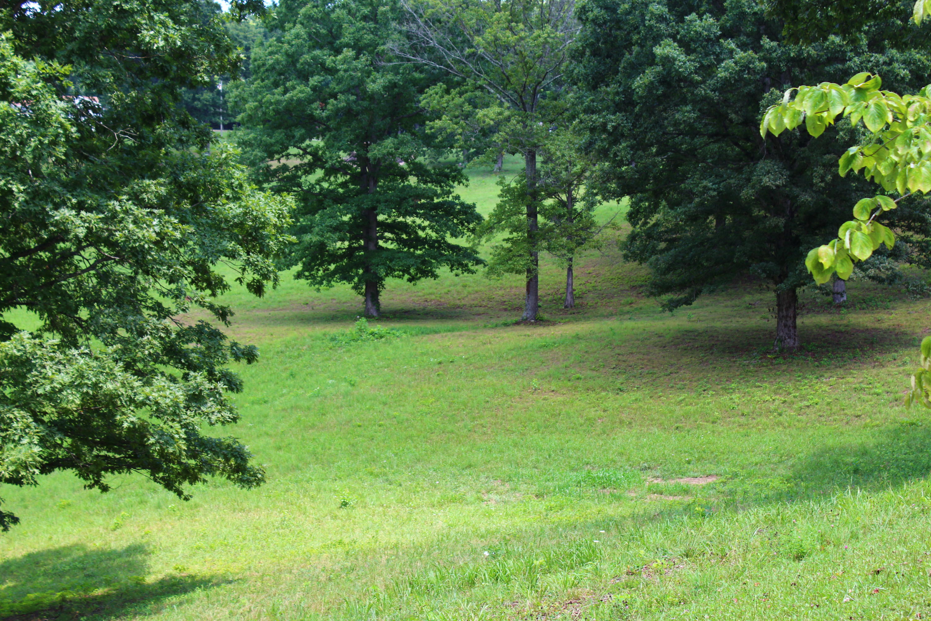 715 Hubbs Grove Road Maynardville, TN 37807 - Photo 29 of 40 IMG_4458