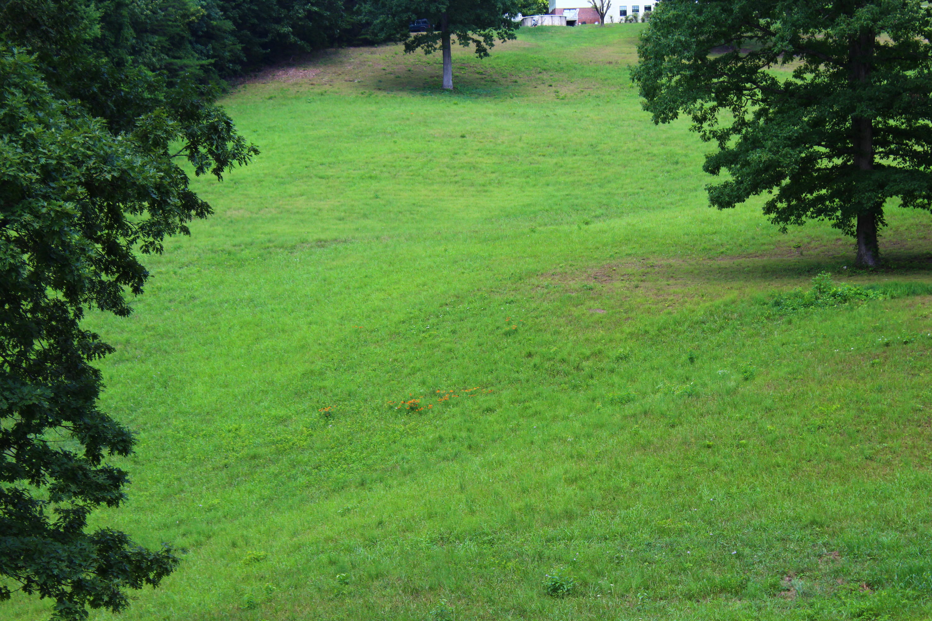 715 Hubbs Grove Road Maynardville, TN 37807 - Photo 30 of 40 IMG_4459