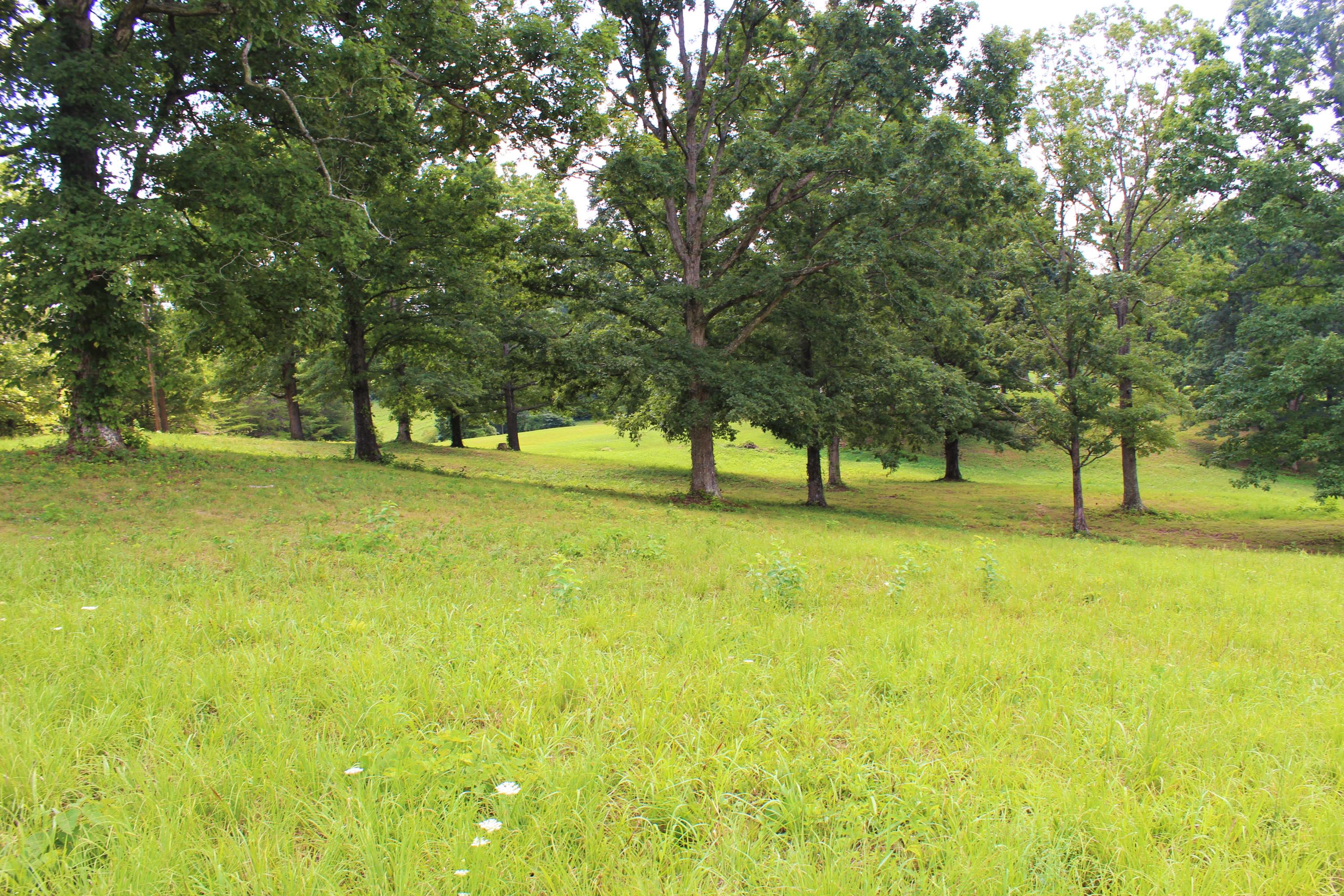 715 Hubbs Grove Road Maynardville, TN 37807 - Photo 32 of 40 IMG_4476