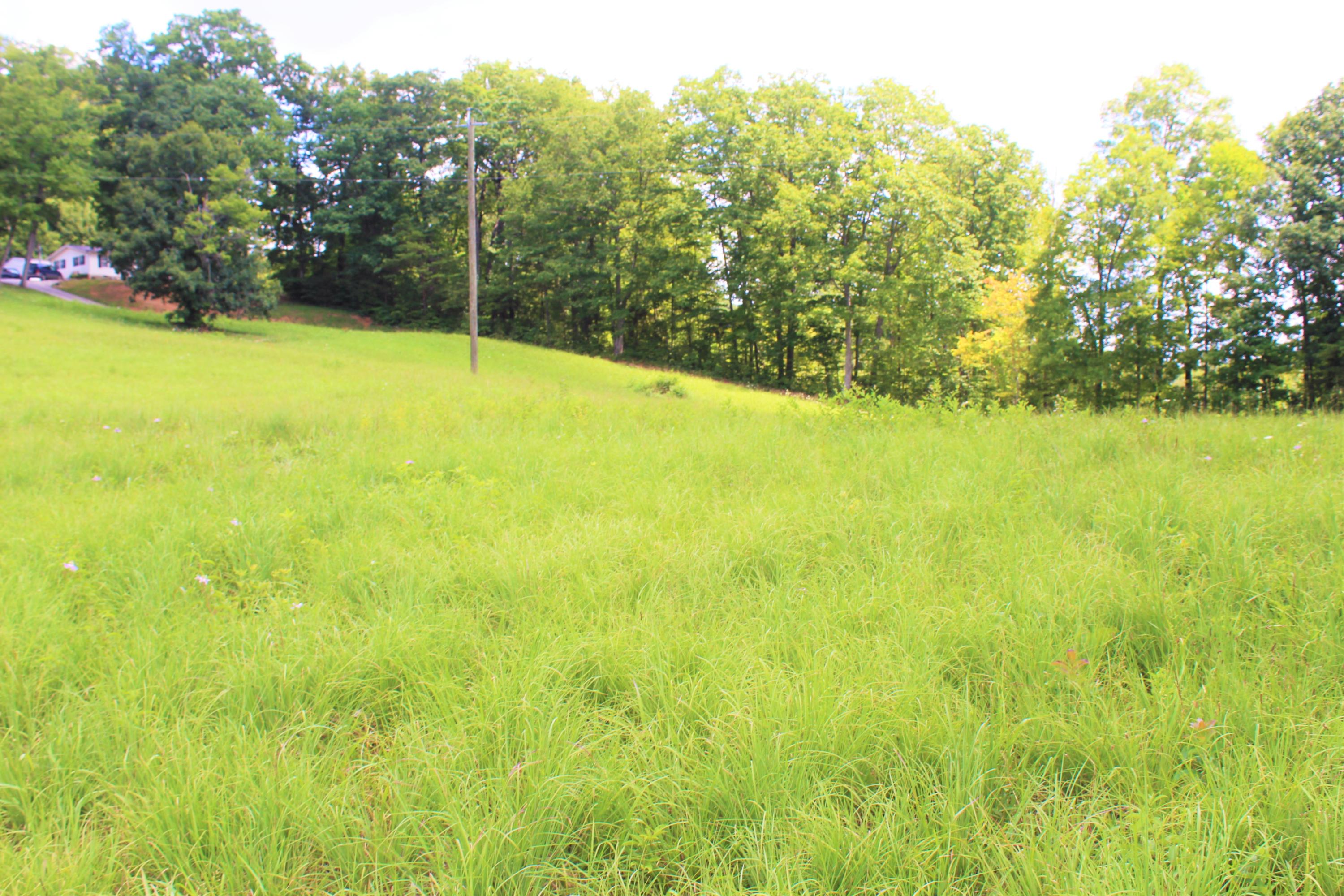 715 Hubbs Grove Road Maynardville, TN 37807 - Photo 33 of 40 IMG_4479