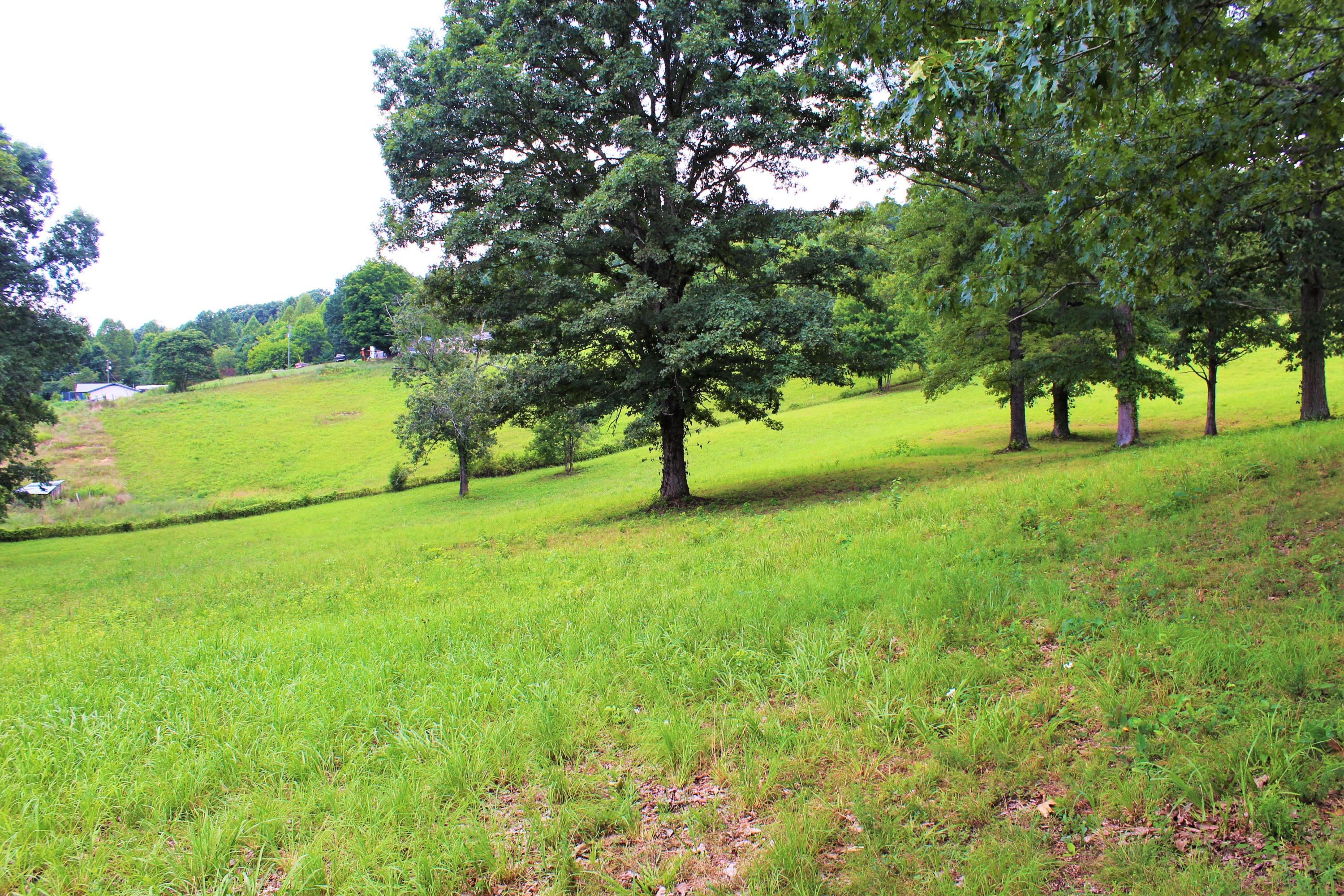 715 Hubbs Grove Road Maynardville, TN 37807 - Photo 34 of 40 IMG_4486