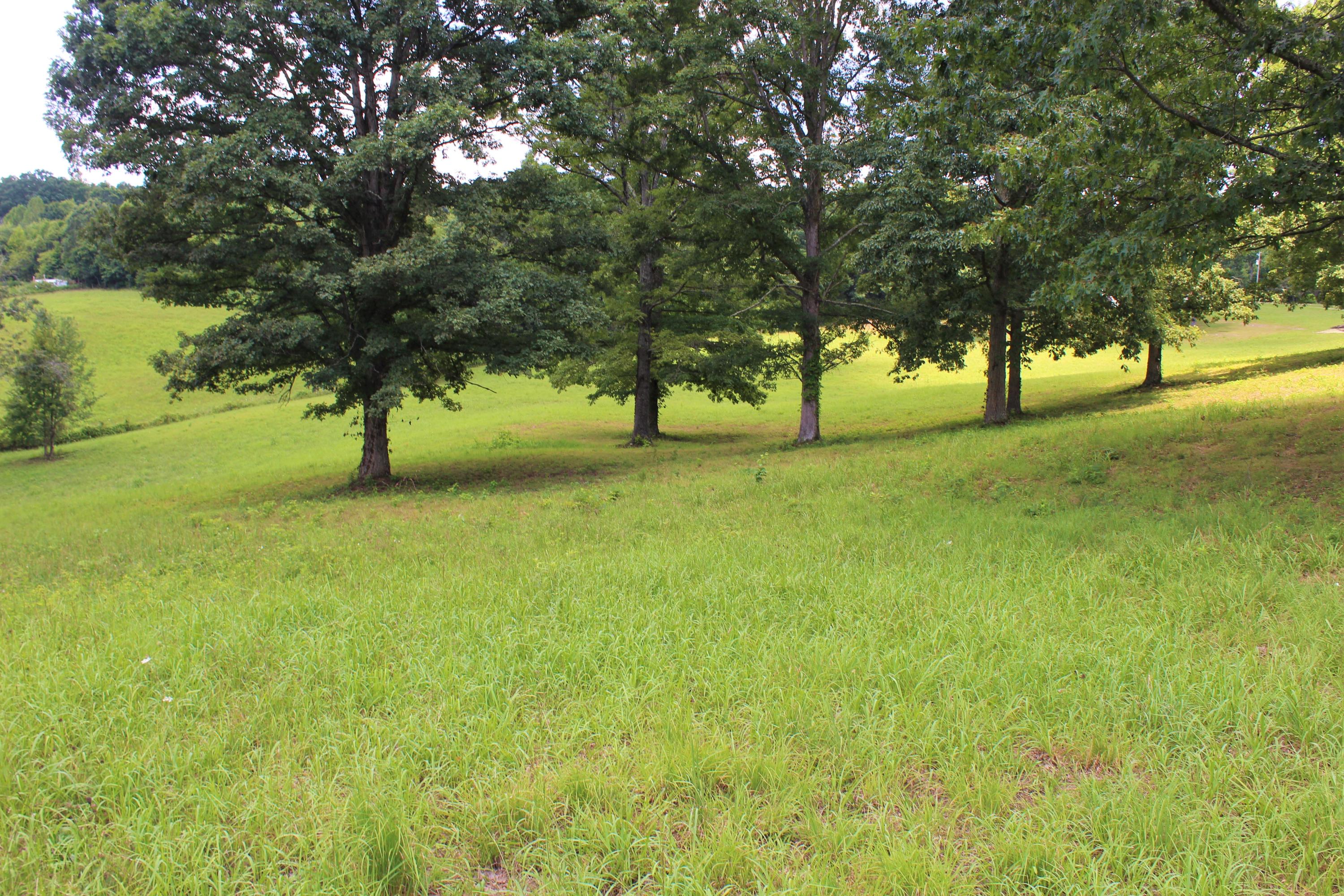 715 Hubbs Grove Road Maynardville, TN 37807 - Photo 35 of 40 IMG_4488