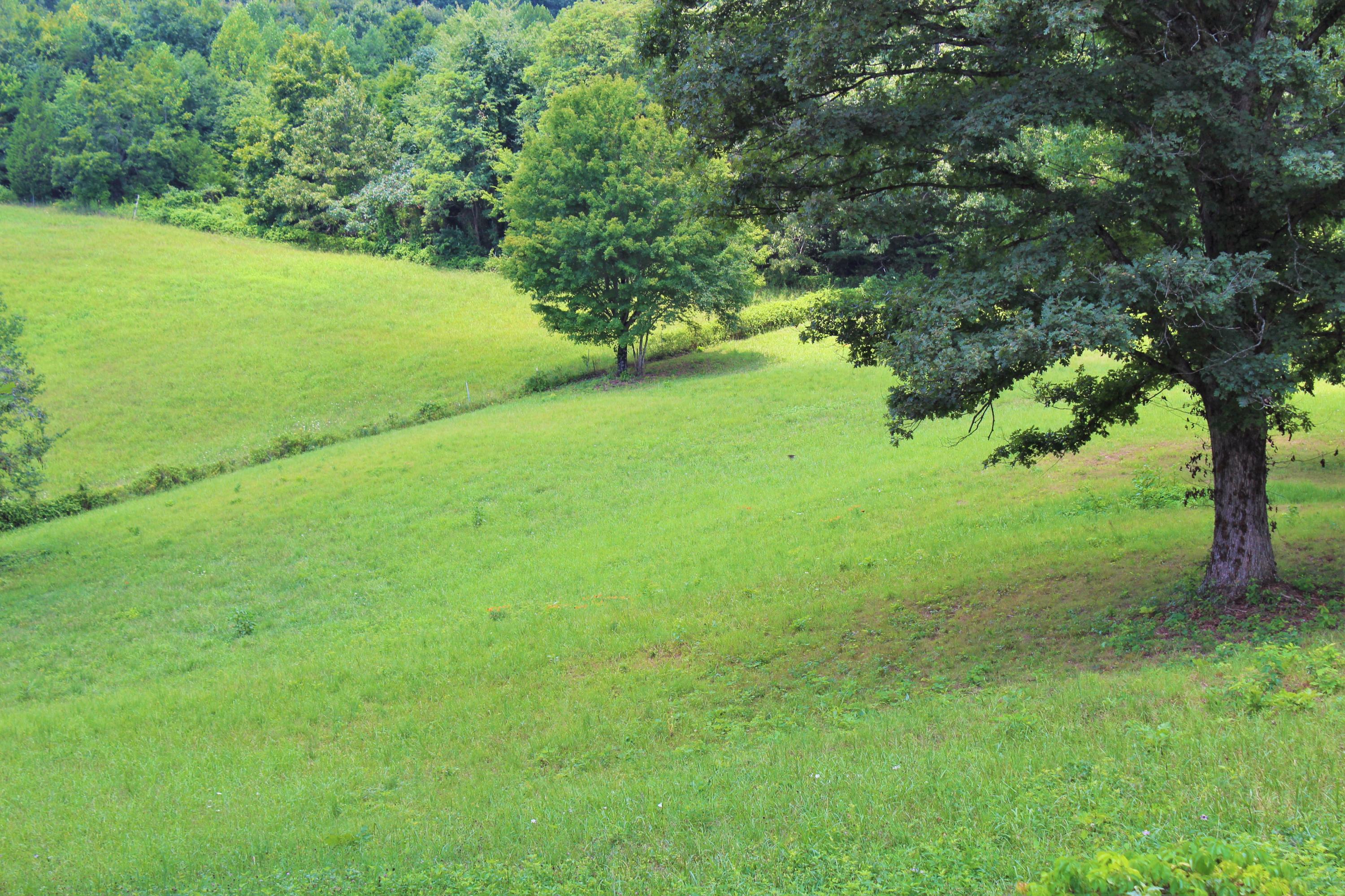 715 Hubbs Grove Road Maynardville, TN 37807 - Photo 37 of 40 IMG_4490