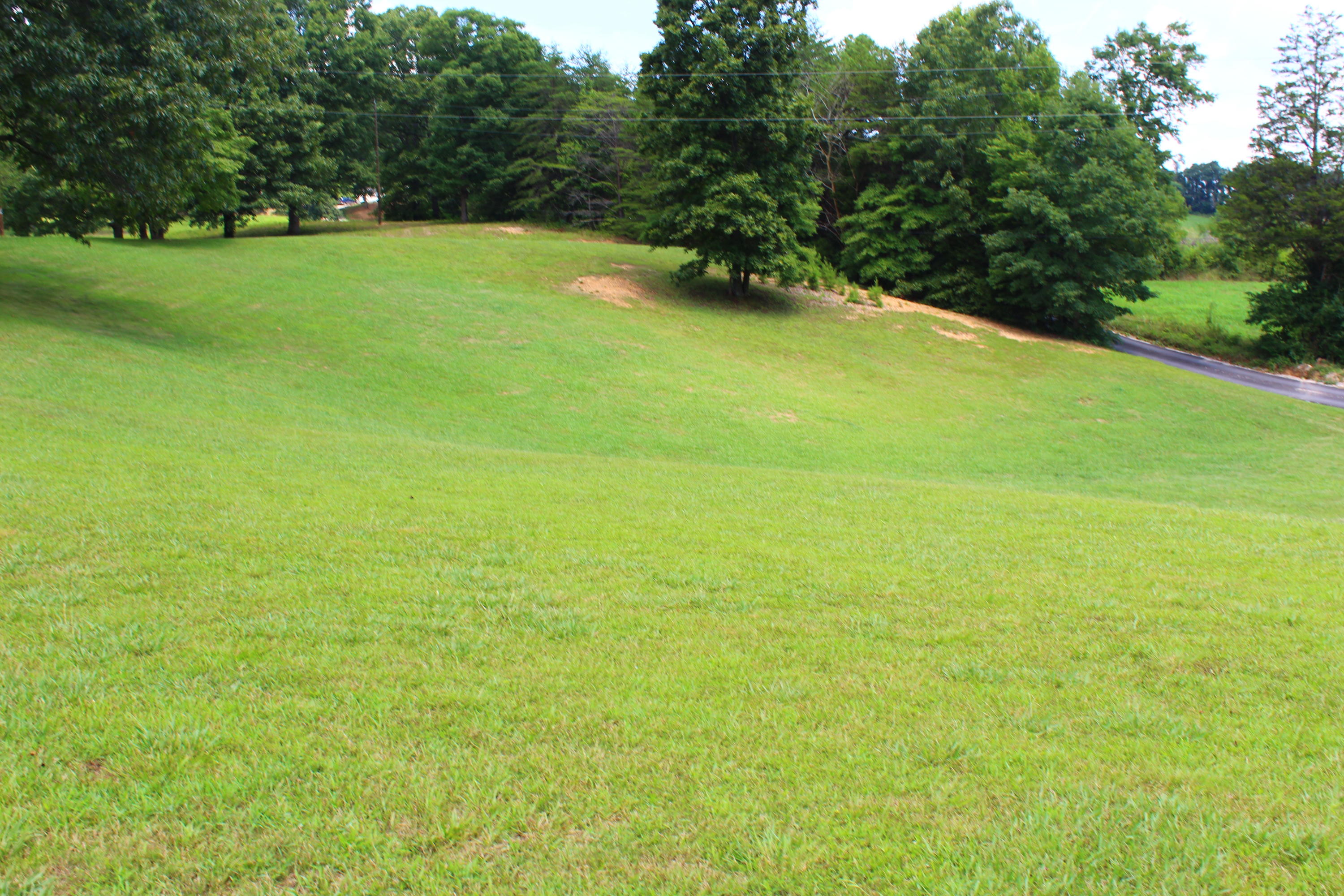 715 Hubbs Grove Road Maynardville, TN 37807 - Photo 5 of 40 IMG_4448