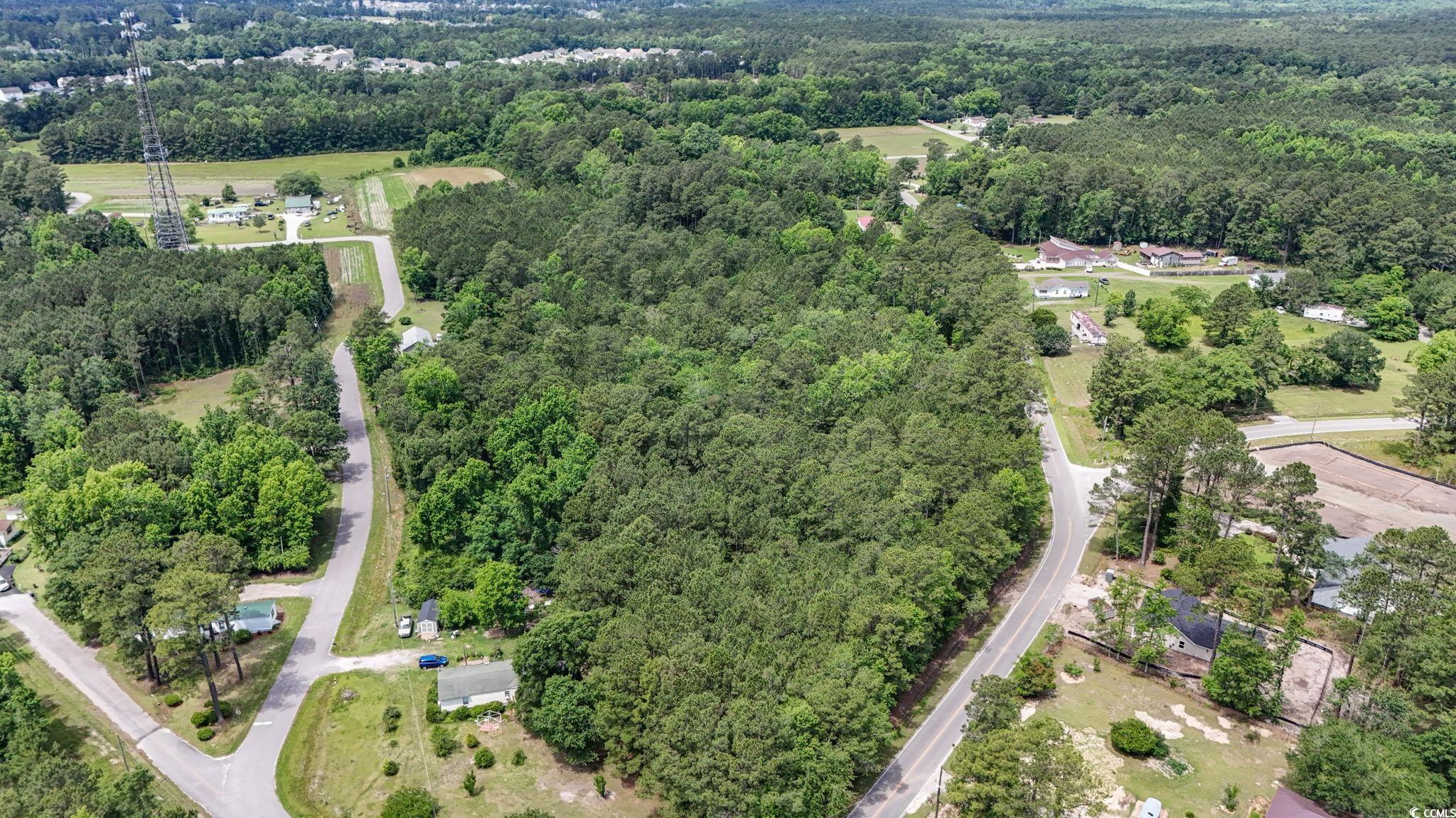 New Parcel Union Church Road Little River, SC 29566 - Photo 5 of 12 Gallery Image 5
