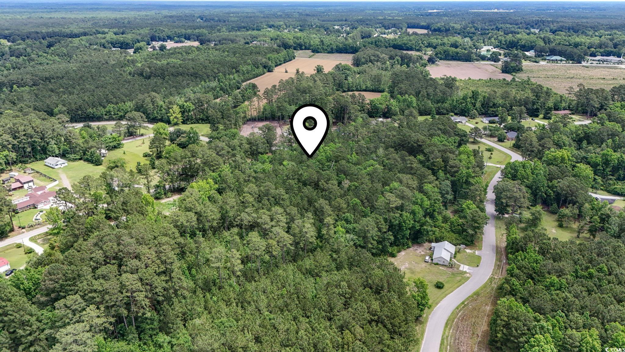 New Parcel Union Church Road Little River, SC 29566 - Photo 8 of 12 Gallery Image 8