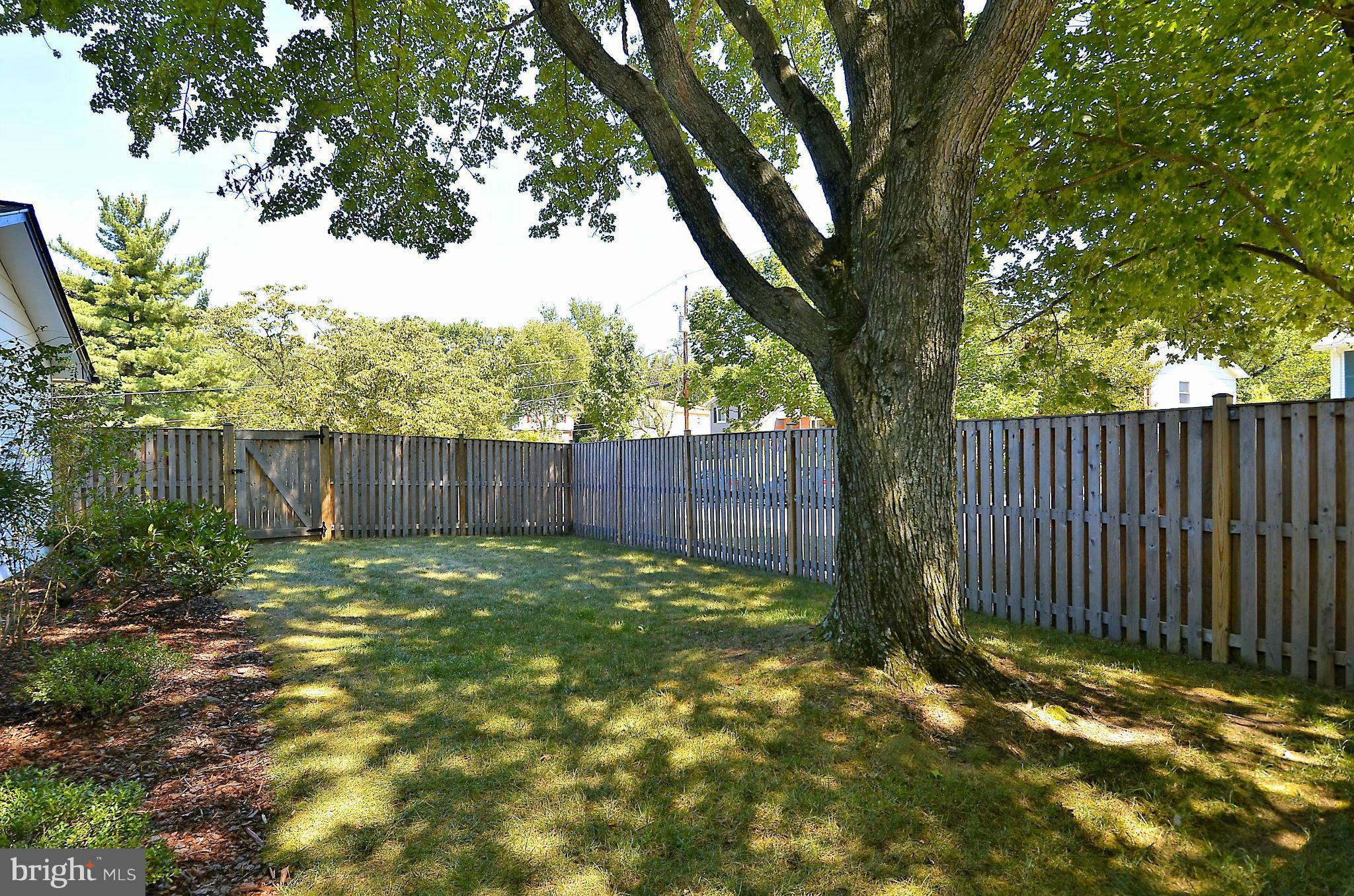 10104 Kohler Road Silver Spring, MD 20902 - Photo 23 of 30 FULLY FENCED REAR YARD WITH MATURE TREES