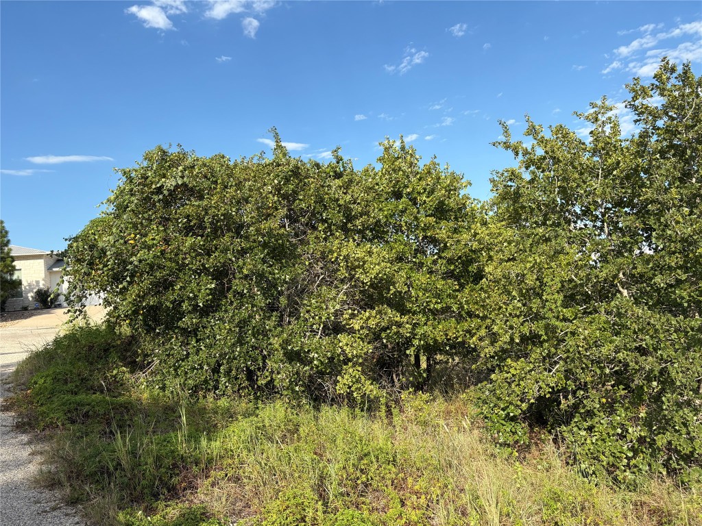 Tbd Kimo Court Bastrop, TX 78602 - Photo 3 of 4 a view of a lake