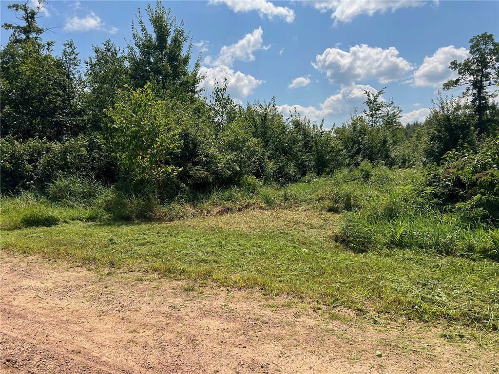 Tbd North Center Road Augusta, WI 54722 - Photo 20 of 35