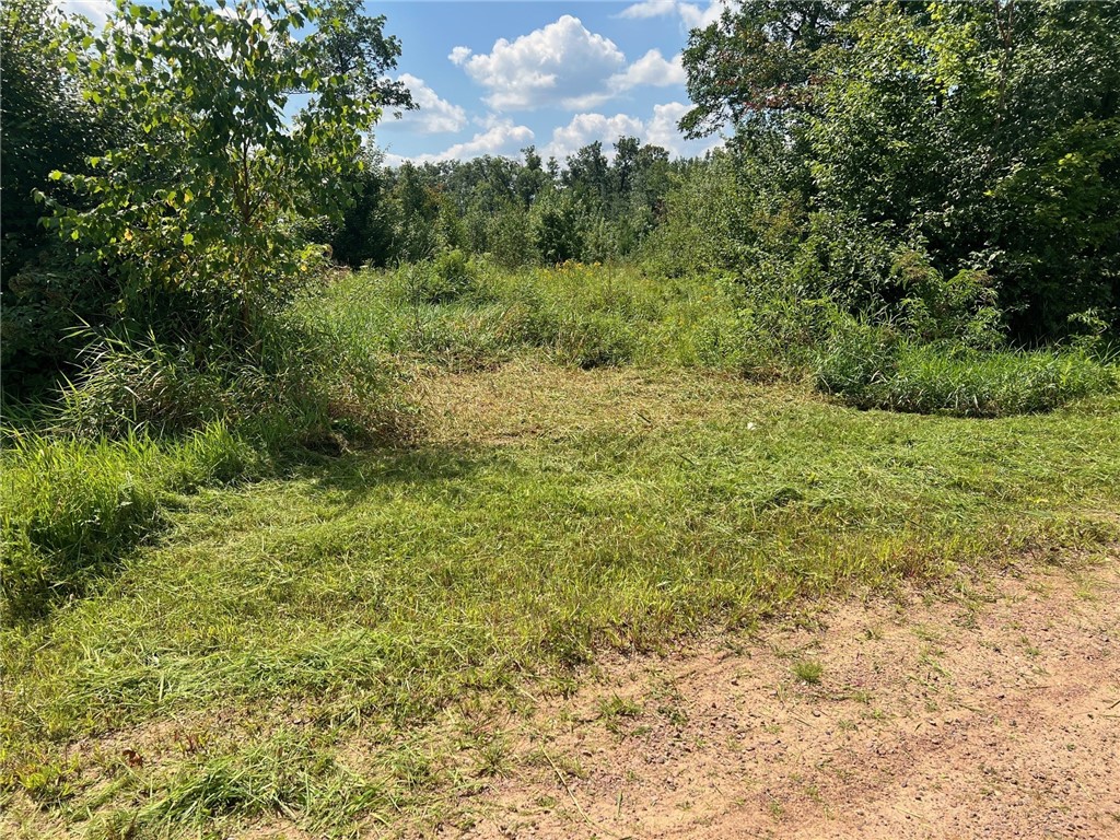 Tbd North Center Road Augusta, WI 54722 - Photo 22 of 35