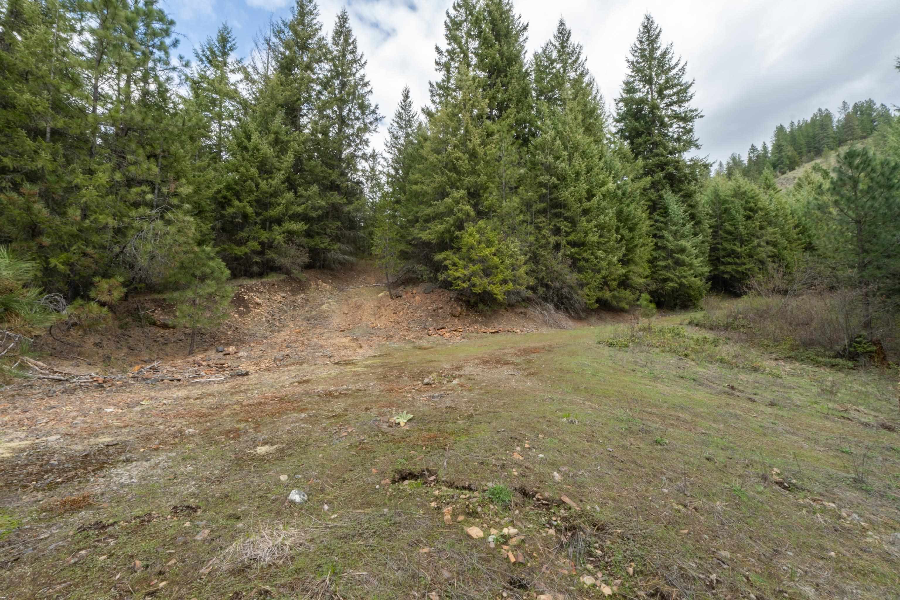Xx Bench Road Newport, WA 99156 - Photo 9 of 17 Gallery Image 9
